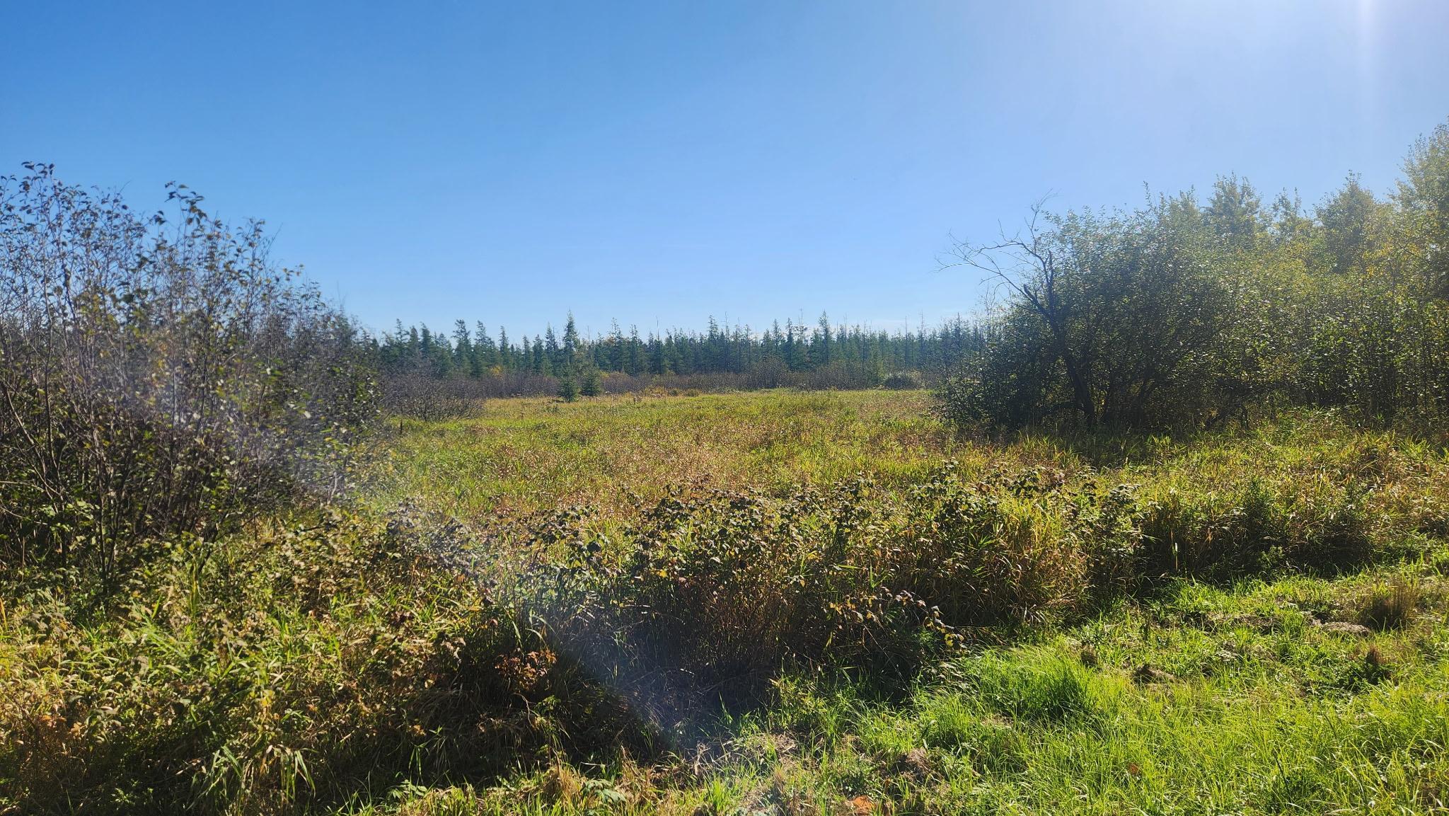 land for sale at TBD County Road 55 Road NE in Remer, MN (photo 3 of 4)
