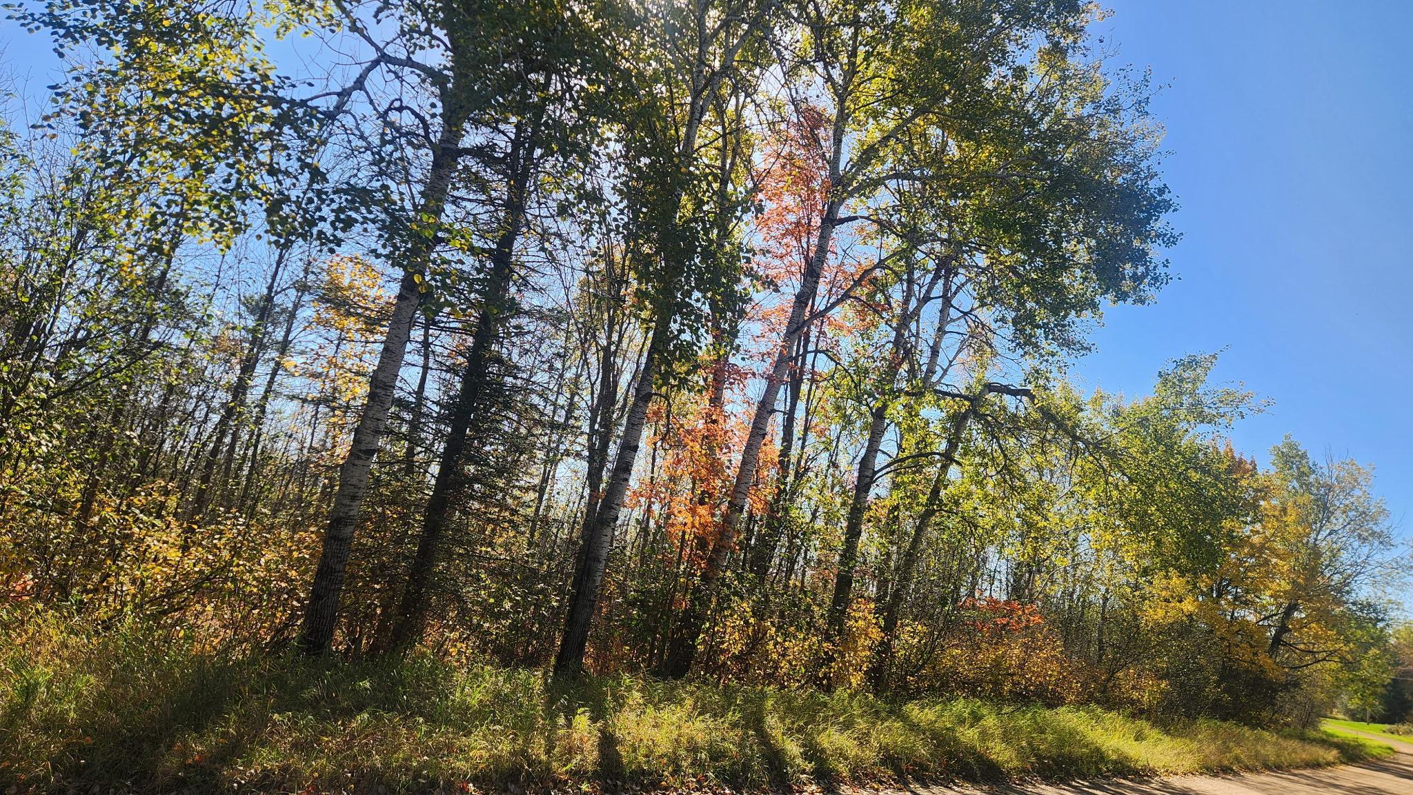 land for sale at TBD County Road 55 Road NE in Remer, MN (photo 4 of 4)