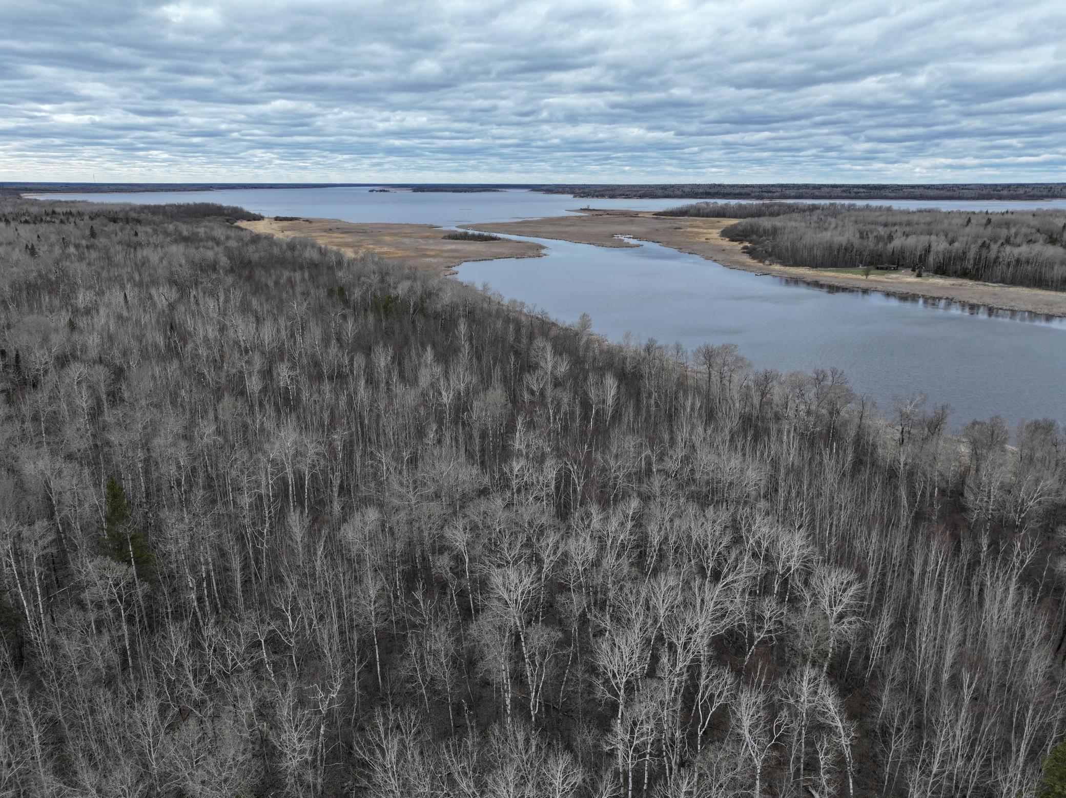 land for sale at 080 Youngs Bay Drive in Angle Inlet, MN (photo 3 of 15)