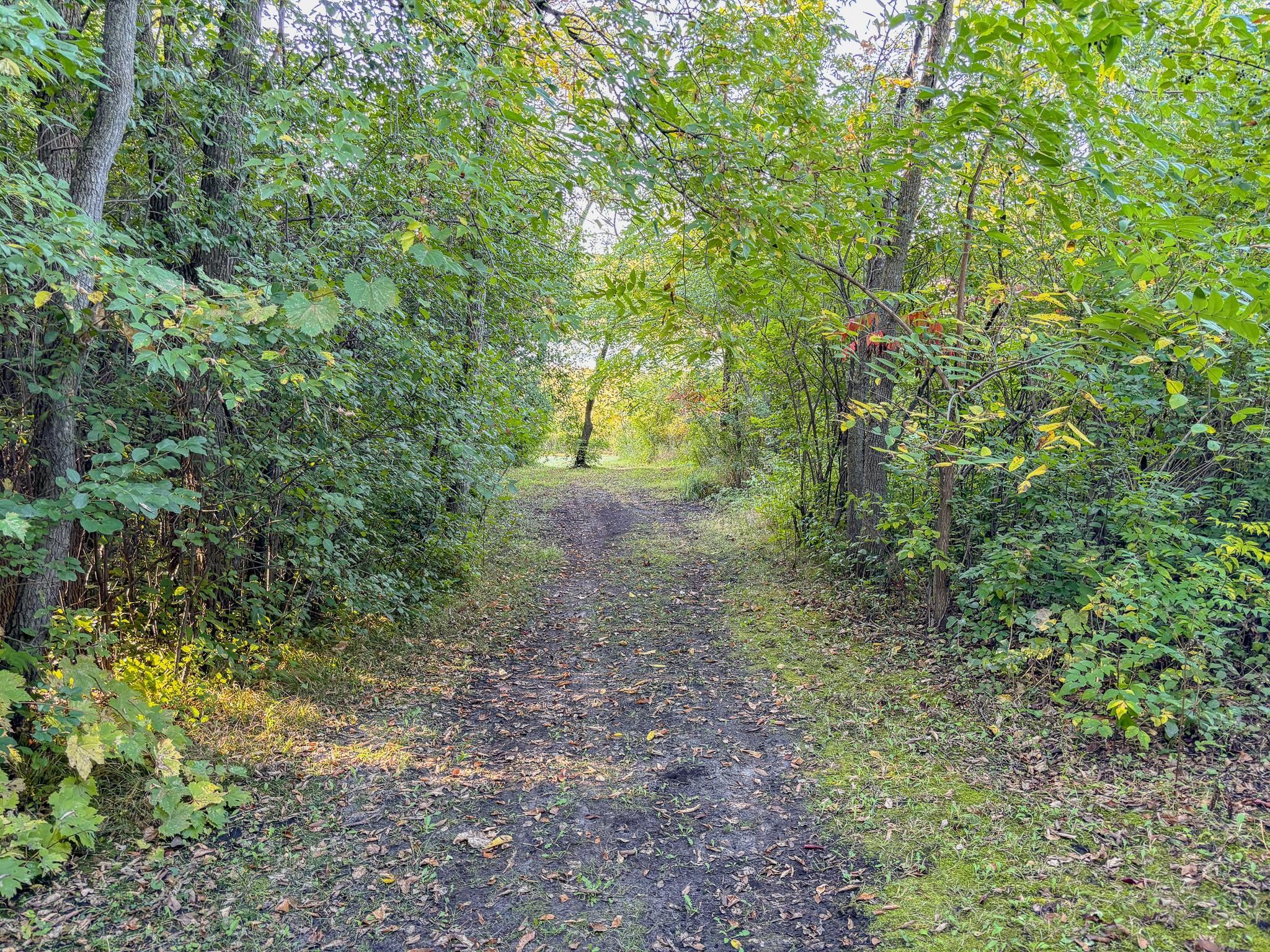 1983 single family home for sale at 510 Woodland Trail in Fergus Falls, MN — 3 bed, 2 bath (photo 49 of 59)