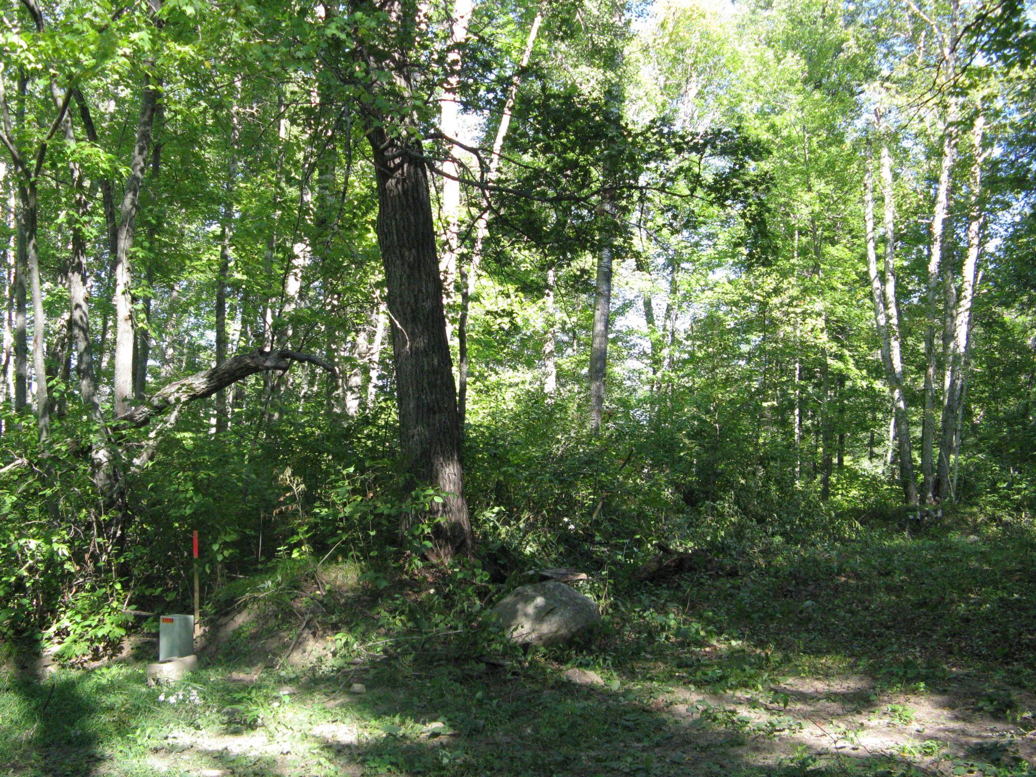 land for sale at TBD Alpine Drive in Breezy Point, MN