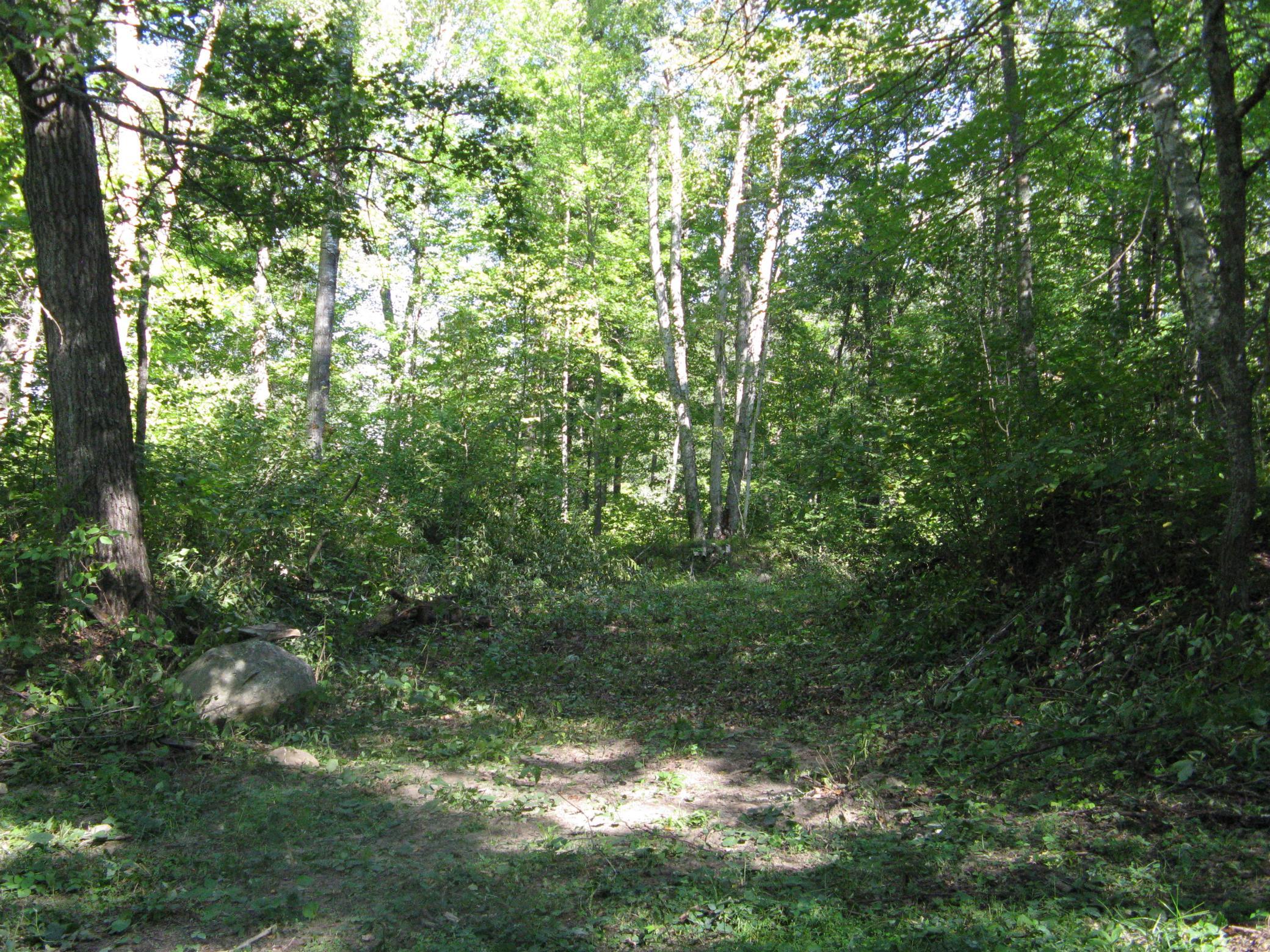 land for sale at TBD Alpine Drive in Breezy Point, MN (photo 2 of 10)