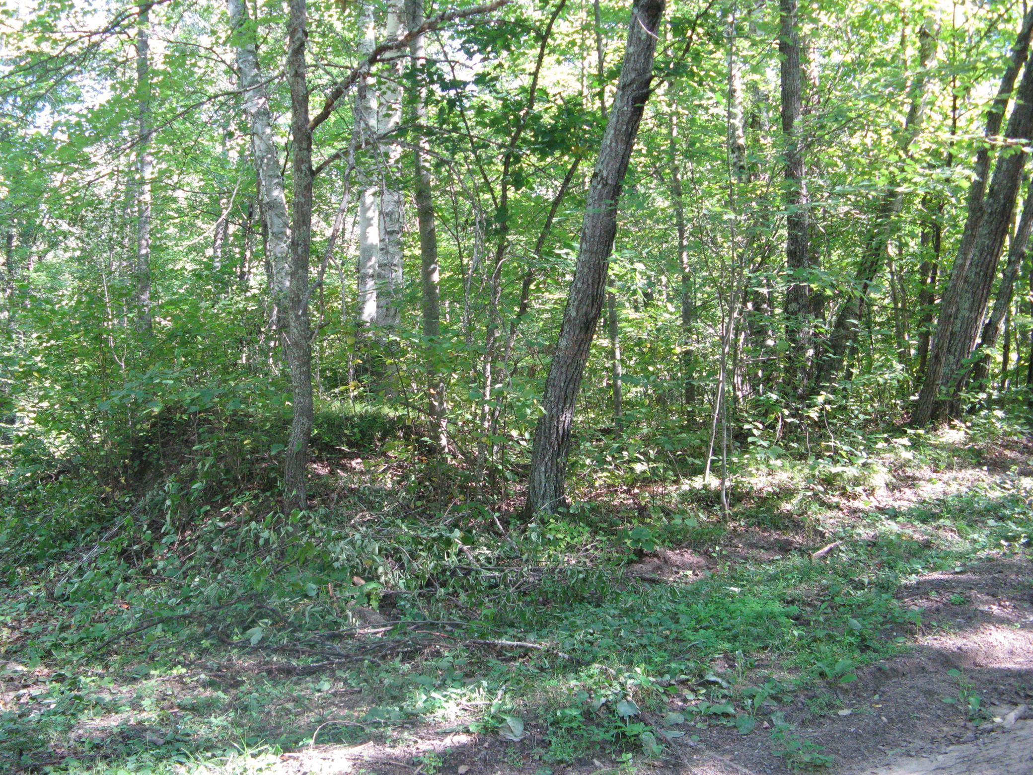 land for sale at TBD Alpine Drive in Breezy Point, MN (photo 3 of 10)