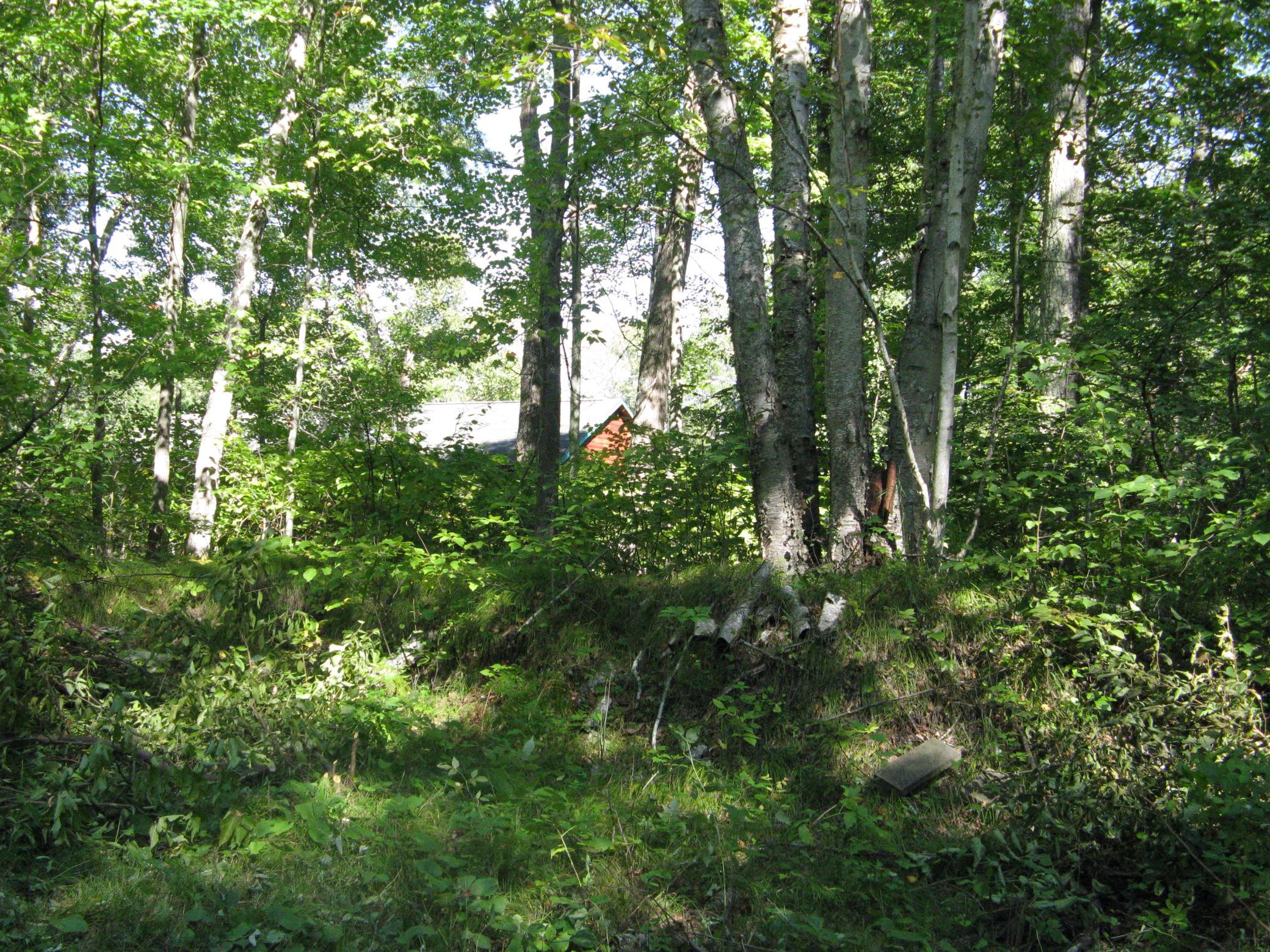 land for sale at TBD Alpine Drive in Breezy Point, MN (photo 4 of 10)