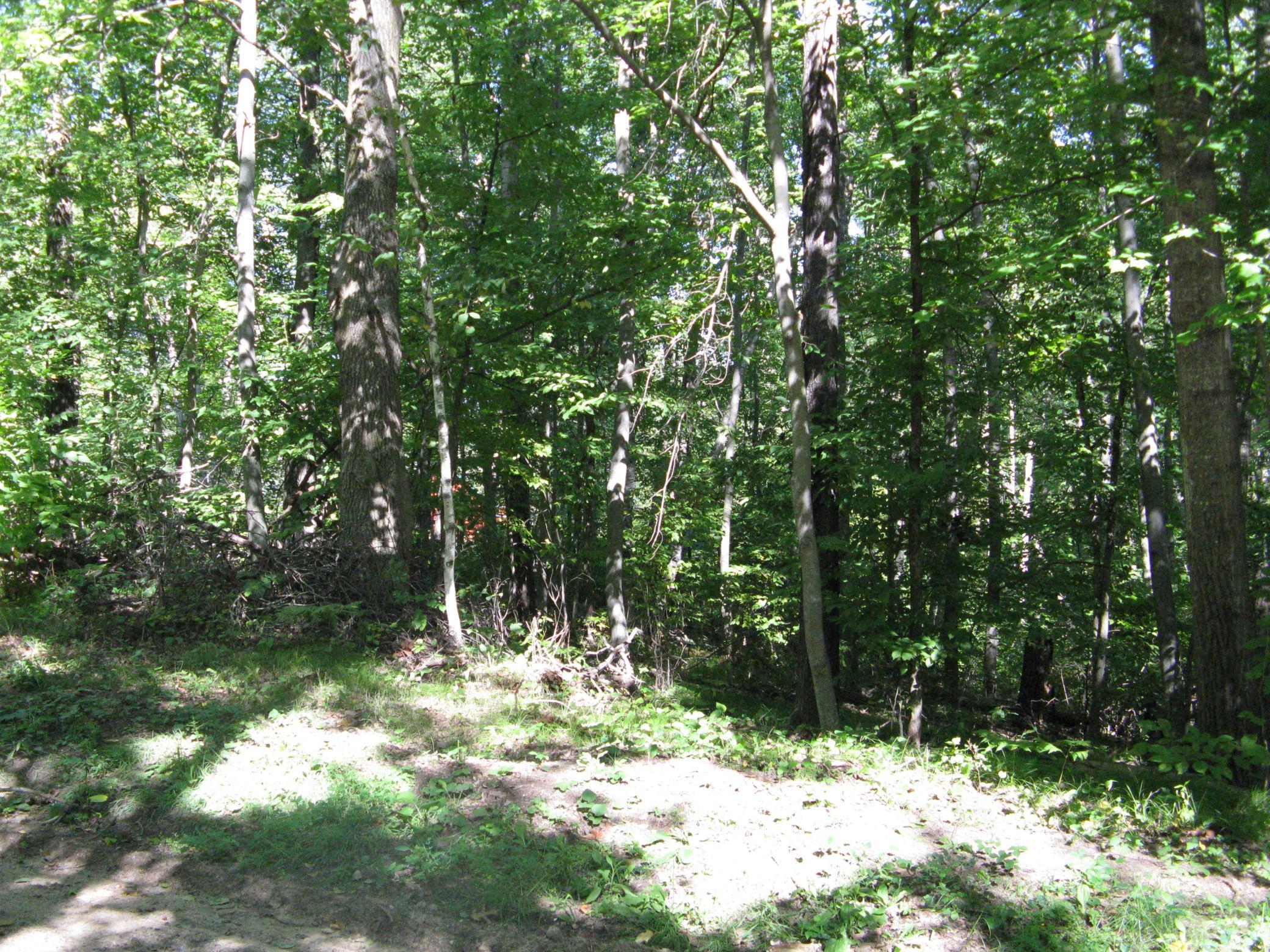 land for sale at TBD Alpine Drive in Breezy Point, MN (photo 10 of 10)