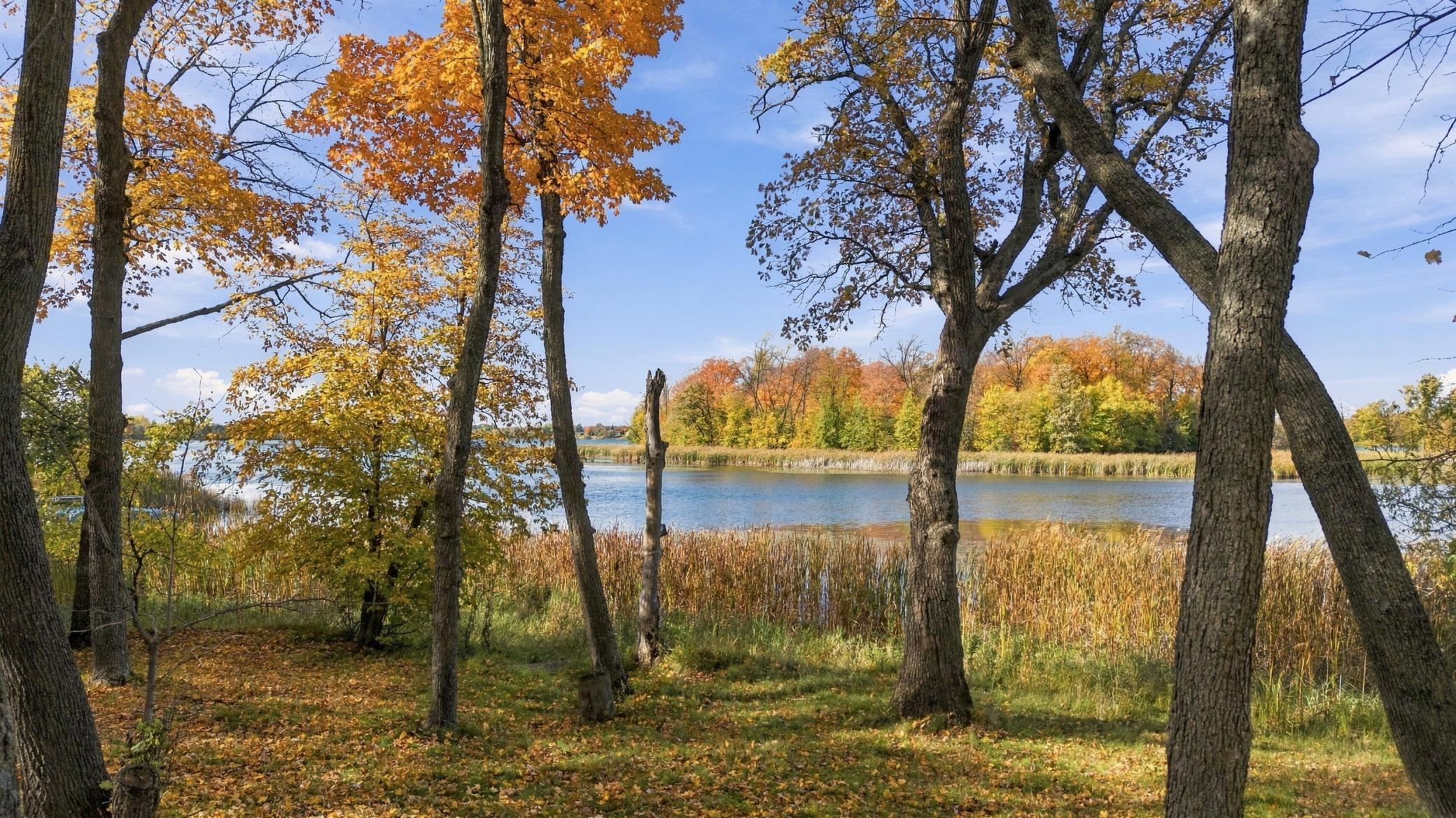 1970 land for sale at 14040 Pearl Lake Drive in Detroit Lakes, MN