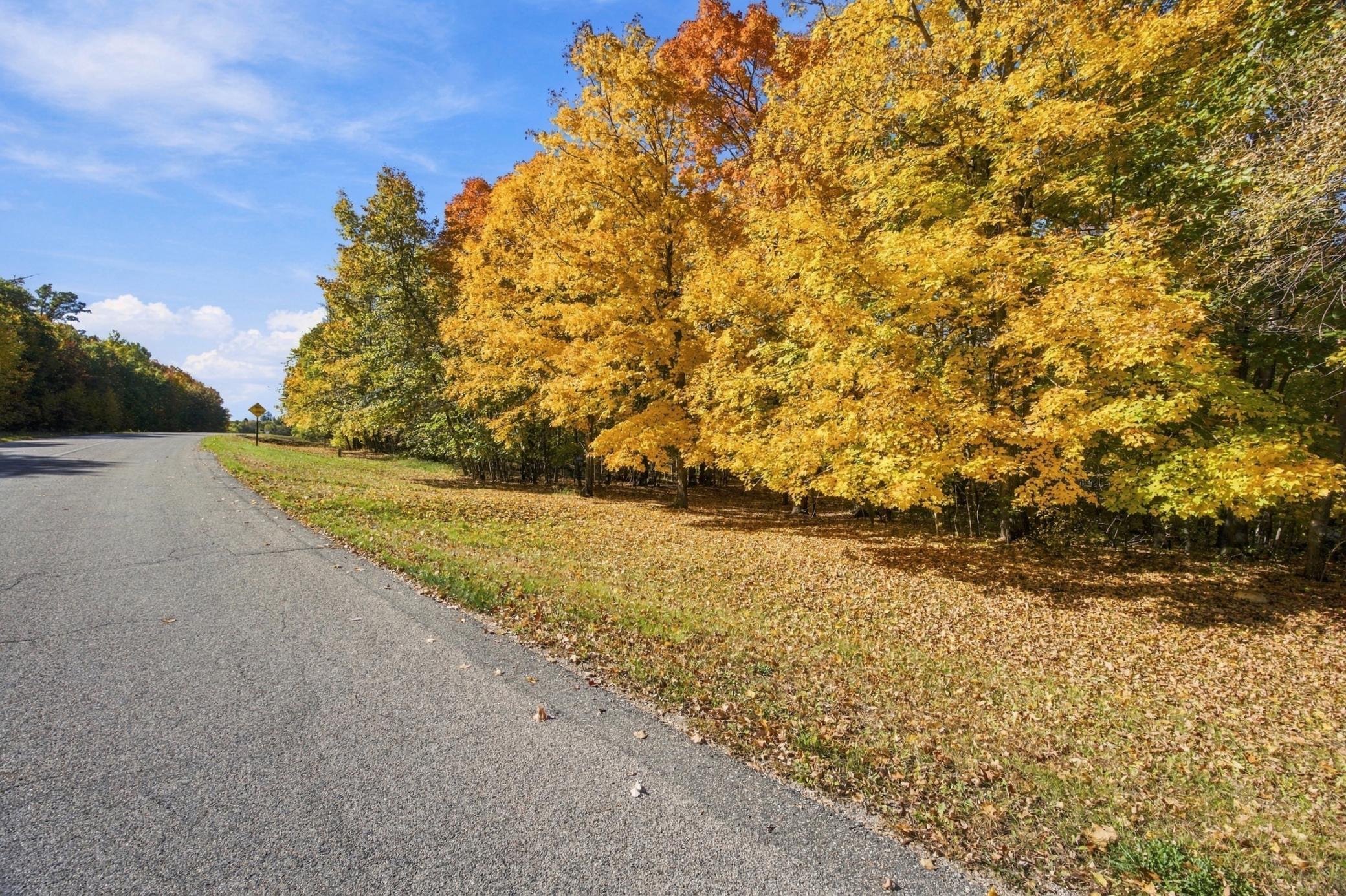 1970 land for sale at 14040 Pearl Lake Drive in Detroit Lakes, MN (photo 11 of 49)