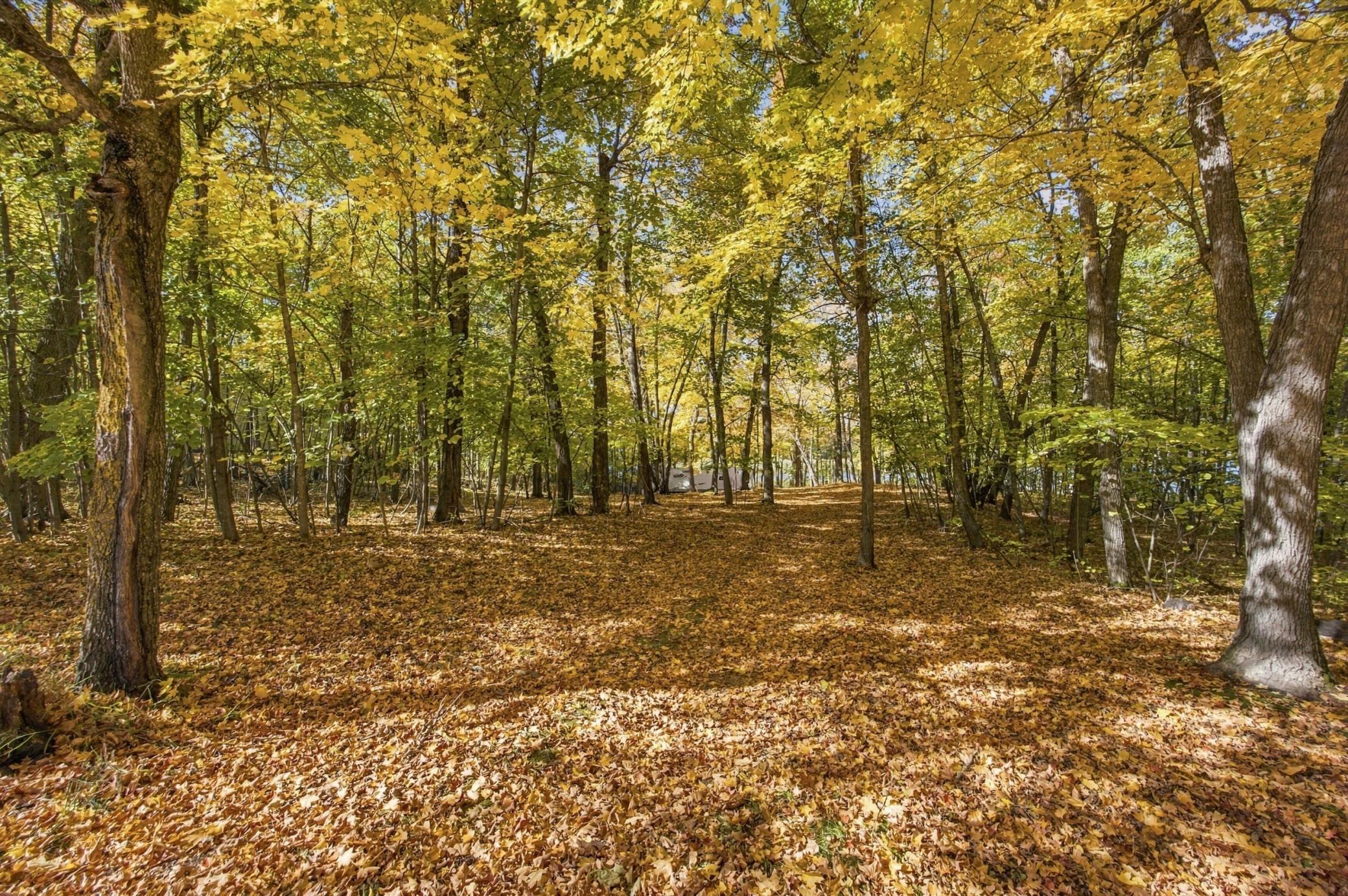 1970 land for sale at 14040 Pearl Lake Drive in Detroit Lakes, MN (photo 13 of 49)