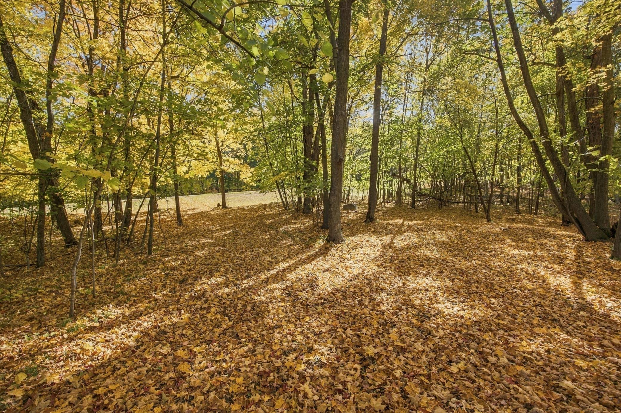 1970 land for sale at 14040 Pearl Lake Drive in Detroit Lakes, MN (photo 14 of 49)