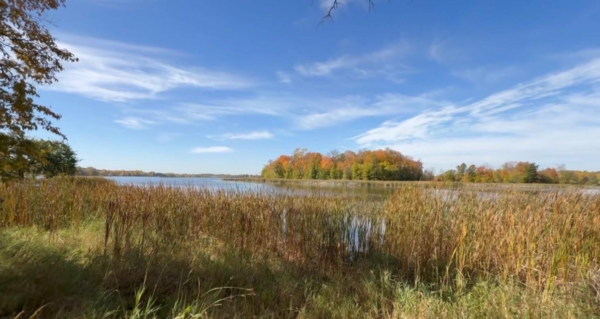 1970 land for sale at 14040 Pearl Lake Drive in Detroit Lakes, MN (photo 3 of 49)