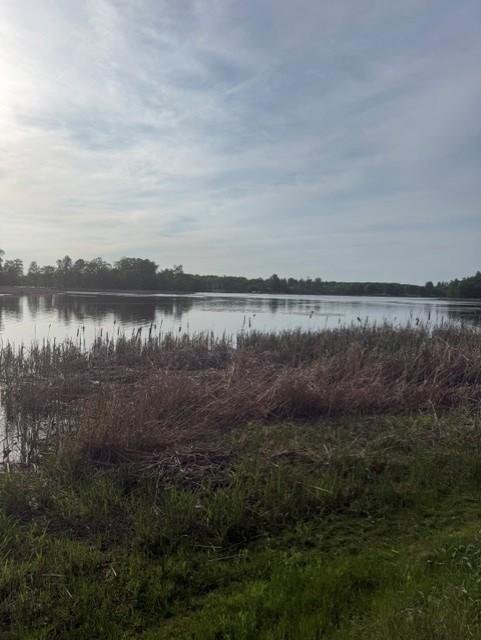 1970 land for sale at 14040 Pearl Lake Drive in Detroit Lakes, MN (photo 29 of 49)