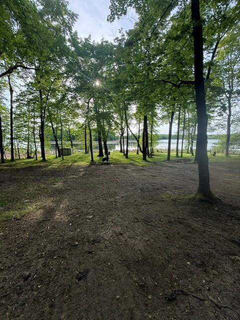 1970 land for sale at 14040 Pearl Lake Drive in Detroit Lakes, MN (photo 5 of 49)