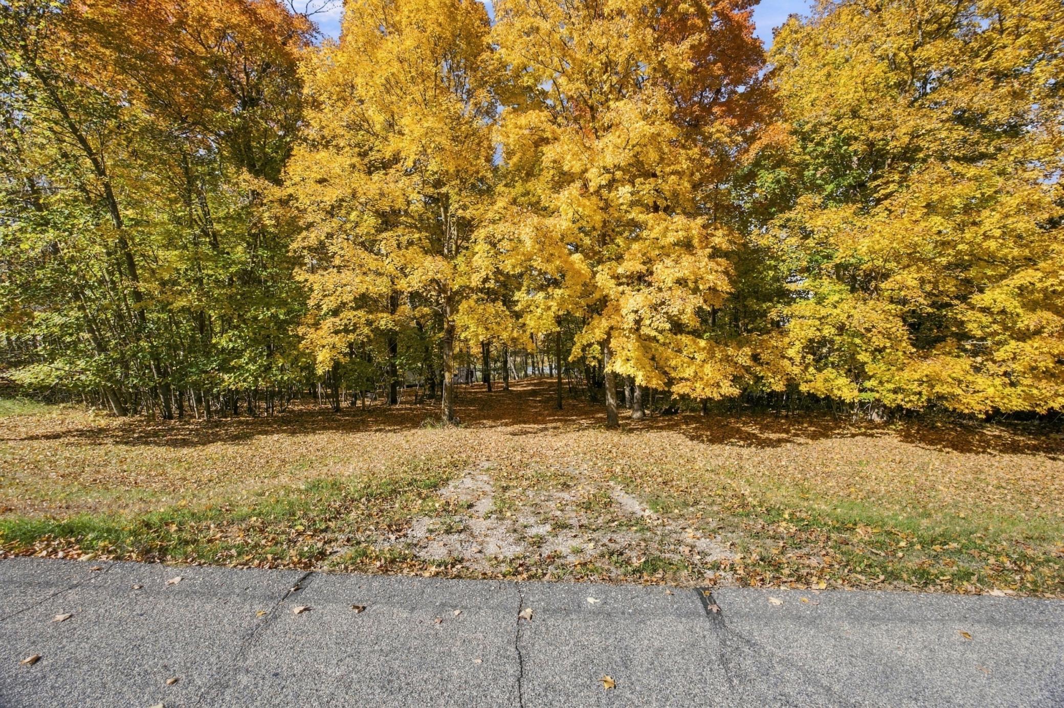 1970 land for sale at 14040 Pearl Lake Drive in Detroit Lakes, MN (photo 10 of 49)