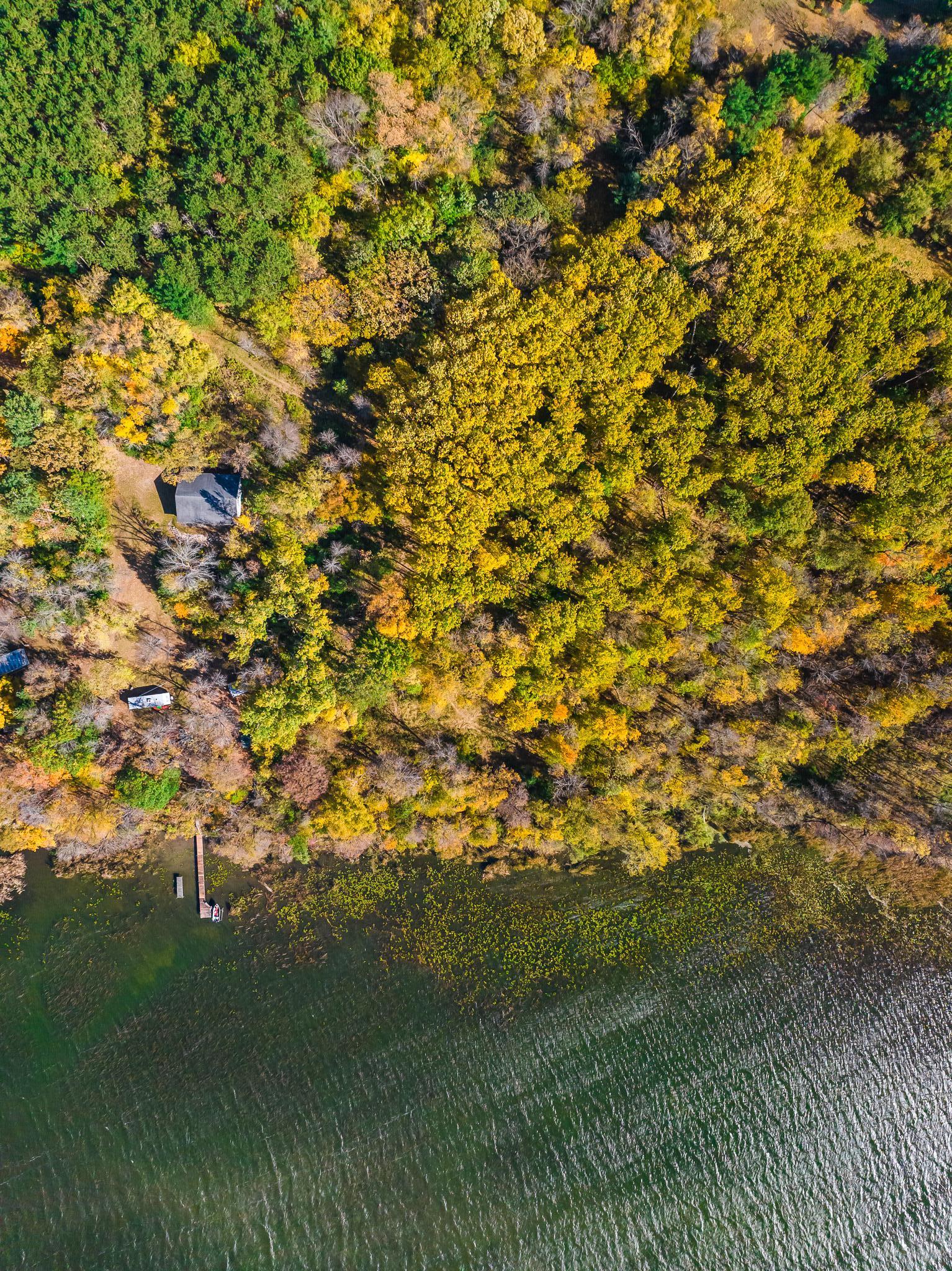 land for sale at TBD County Road 102 in Grey Eagle, MN (photo 11 of 31)