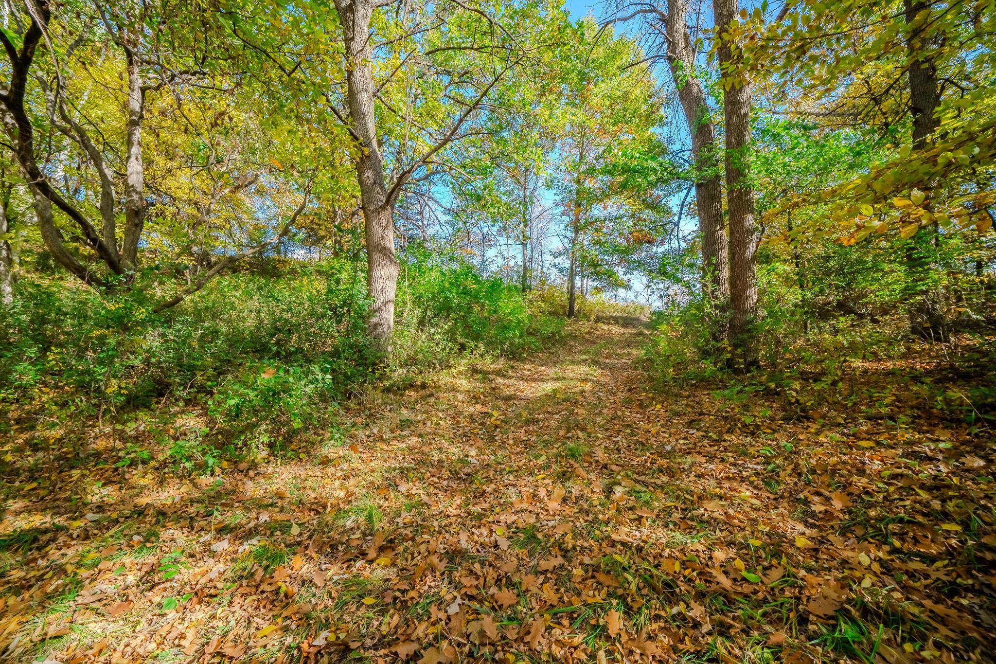 land for sale at TBD County Road 102 in Grey Eagle, MN (photo 3 of 31)