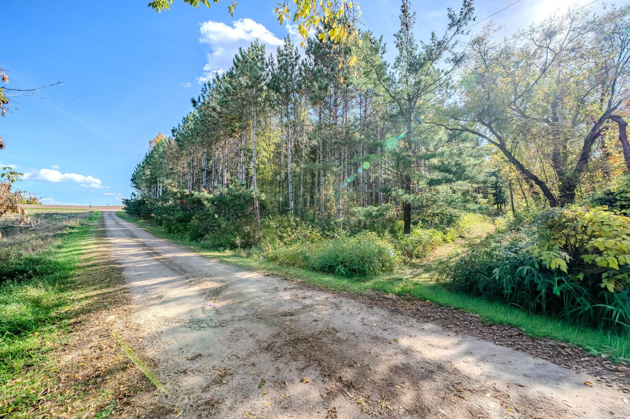 land for sale at TBD County Road 102 in Grey Eagle, MN (photo 21 of 31)