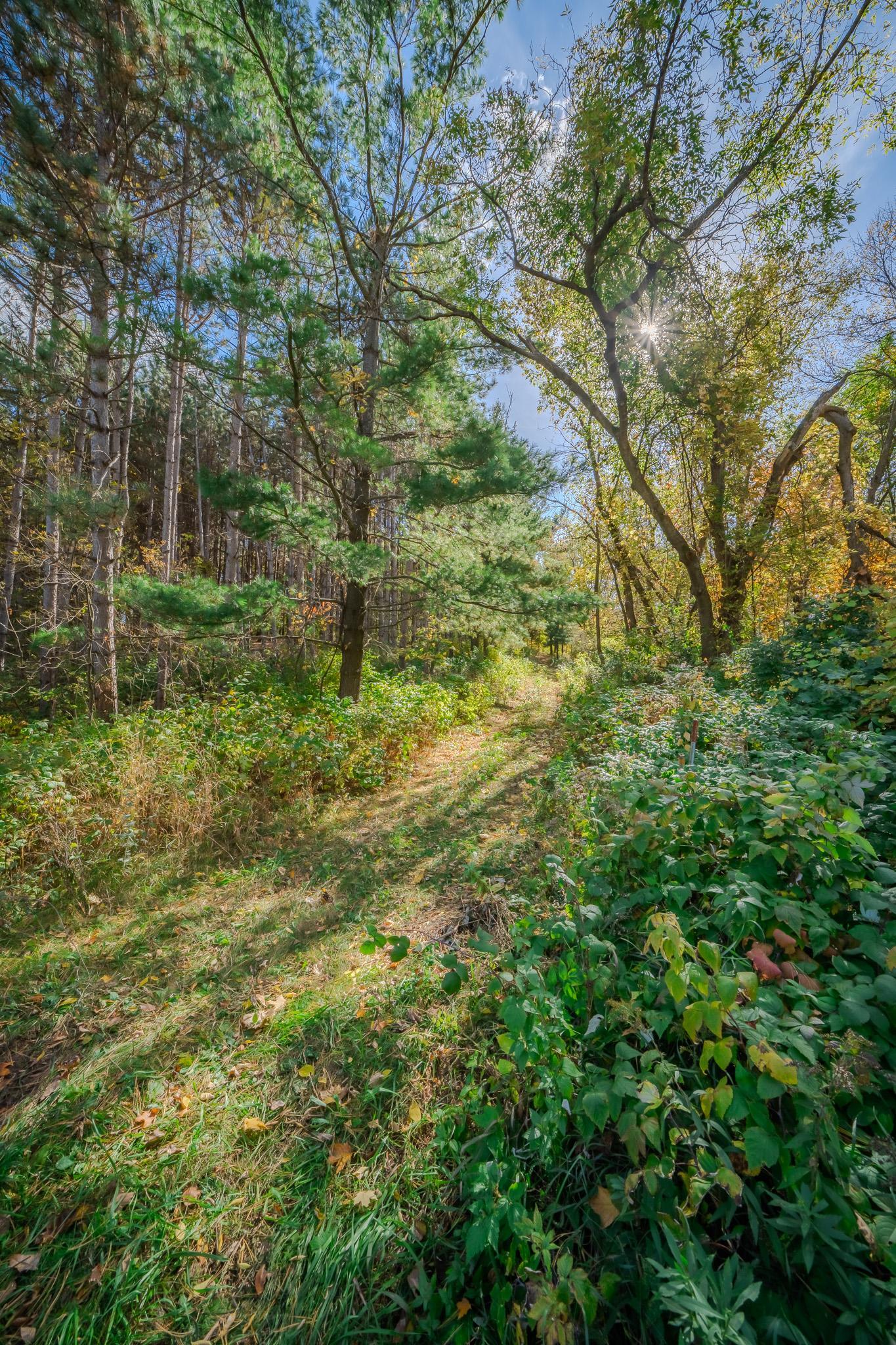 land for sale at TBD County Road 102 in Grey Eagle, MN (photo 22 of 31)