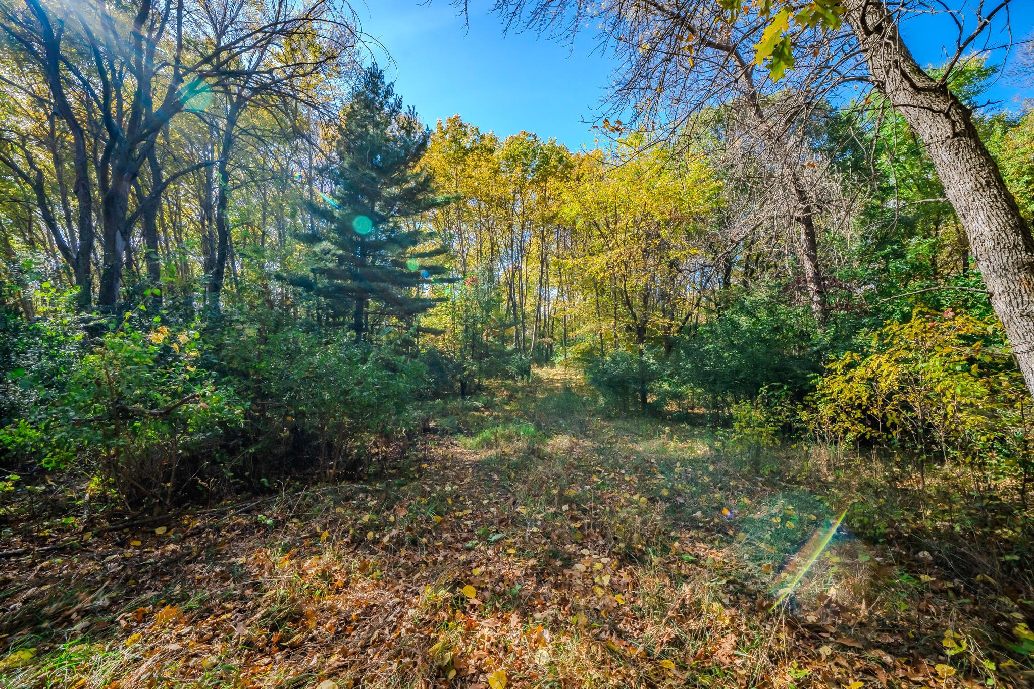 land for sale at TBD County Road 102 in Grey Eagle, MN (photo 23 of 31)