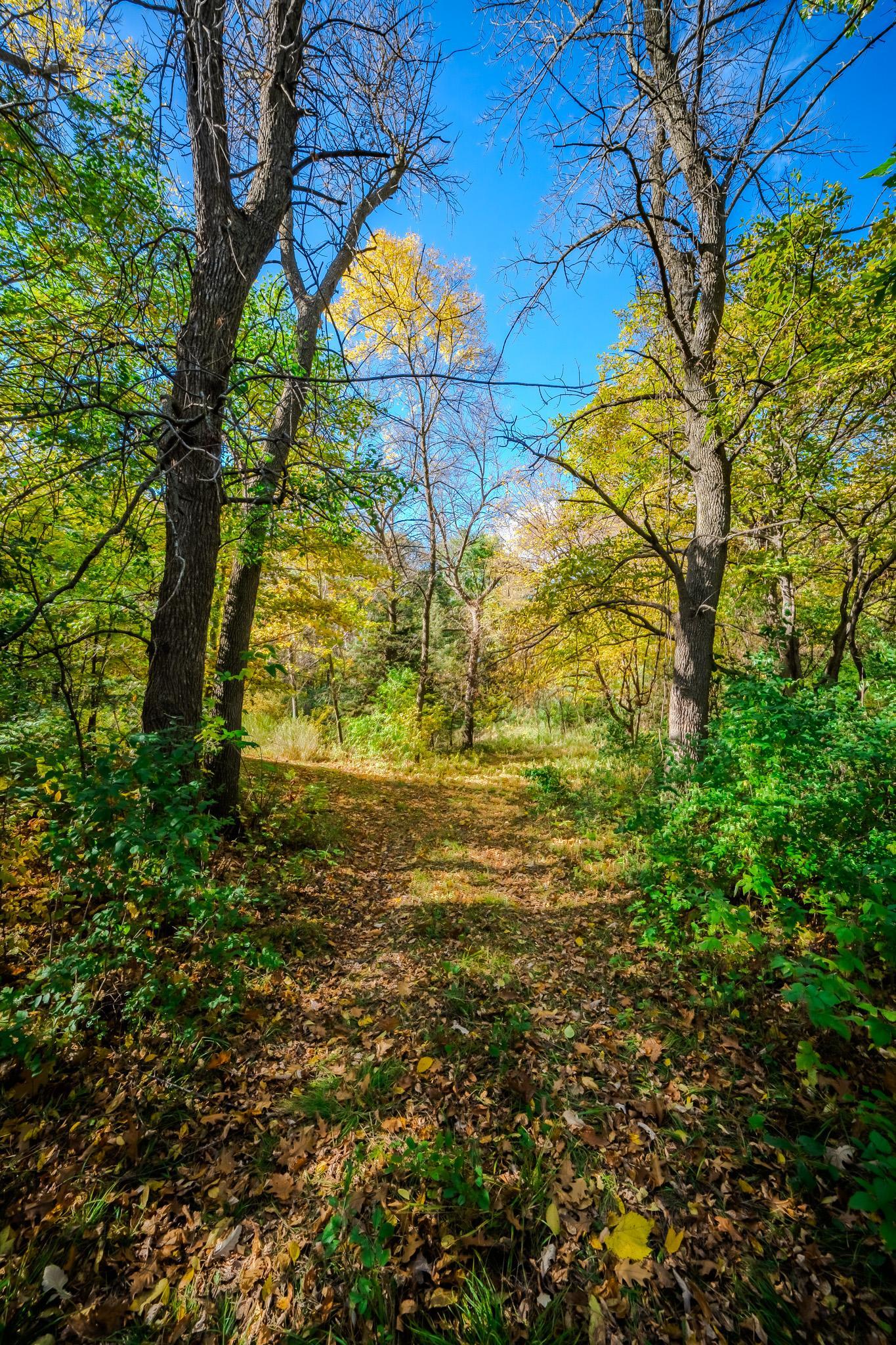 land for sale at TBD County Road 102 in Grey Eagle, MN (photo 24 of 31)