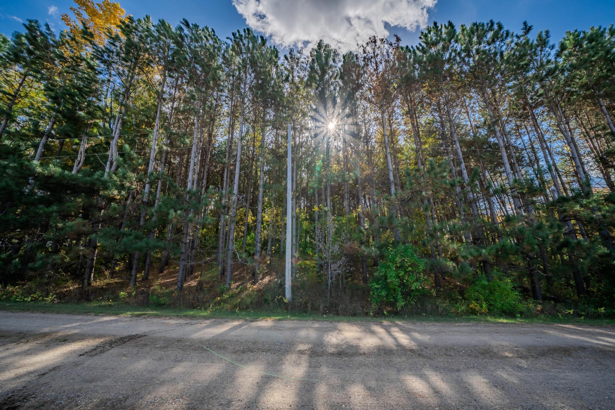 land for sale at TBD County Road 102 in Grey Eagle, MN (photo 25 of 31)