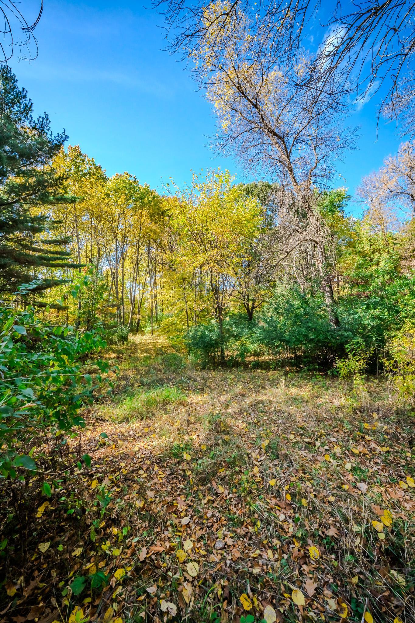 land for sale at TBD County Road 102 in Grey Eagle, MN (photo 26 of 31)