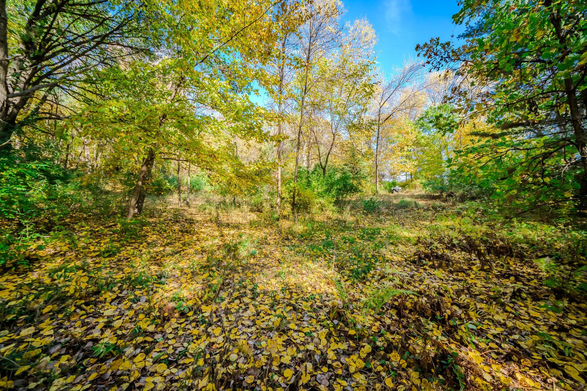 land for sale at TBD County Road 102 in Grey Eagle, MN (photo 27 of 31)