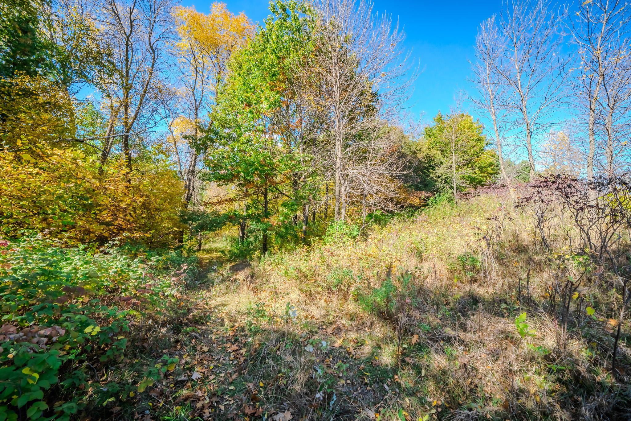 land for sale at TBD County Road 102 in Grey Eagle, MN (photo 29 of 31)