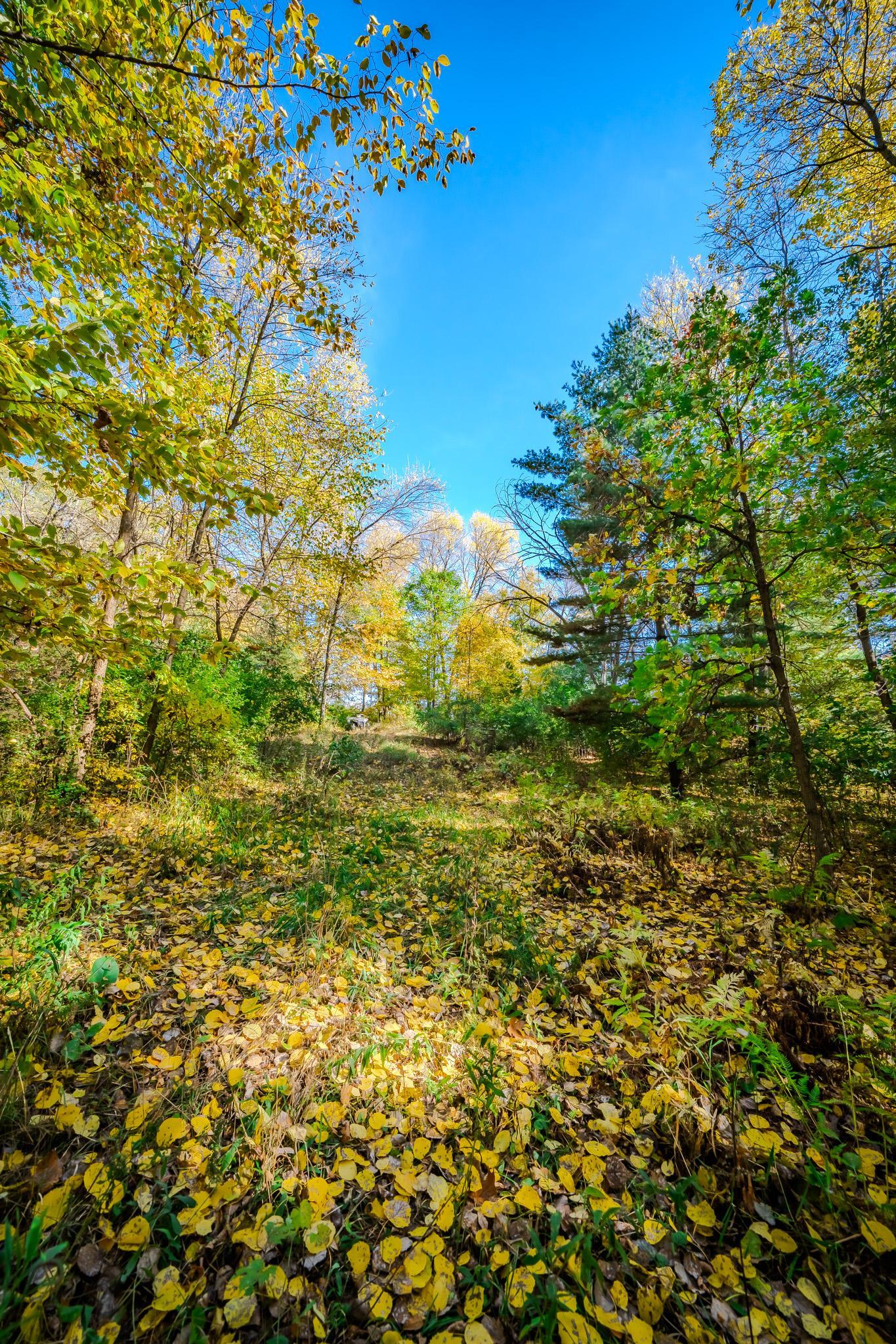 land for sale at TBD County Road 102 in Grey Eagle, MN (photo 30 of 31)