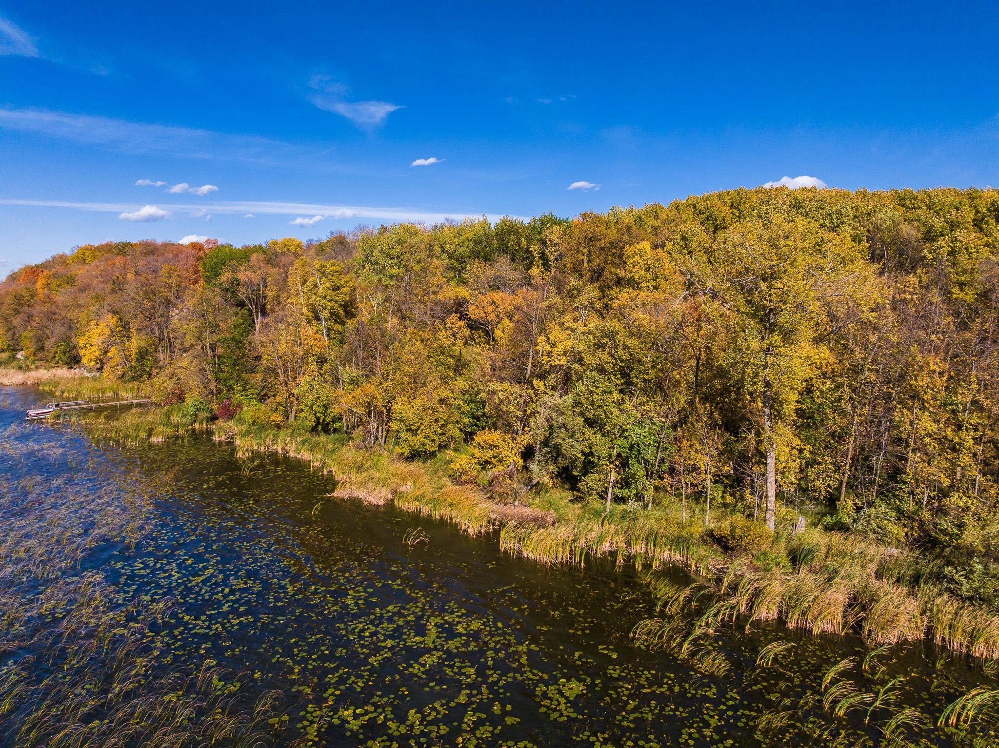 land for sale at TBD County Road 102 in Grey Eagle, MN (photo 9 of 31)