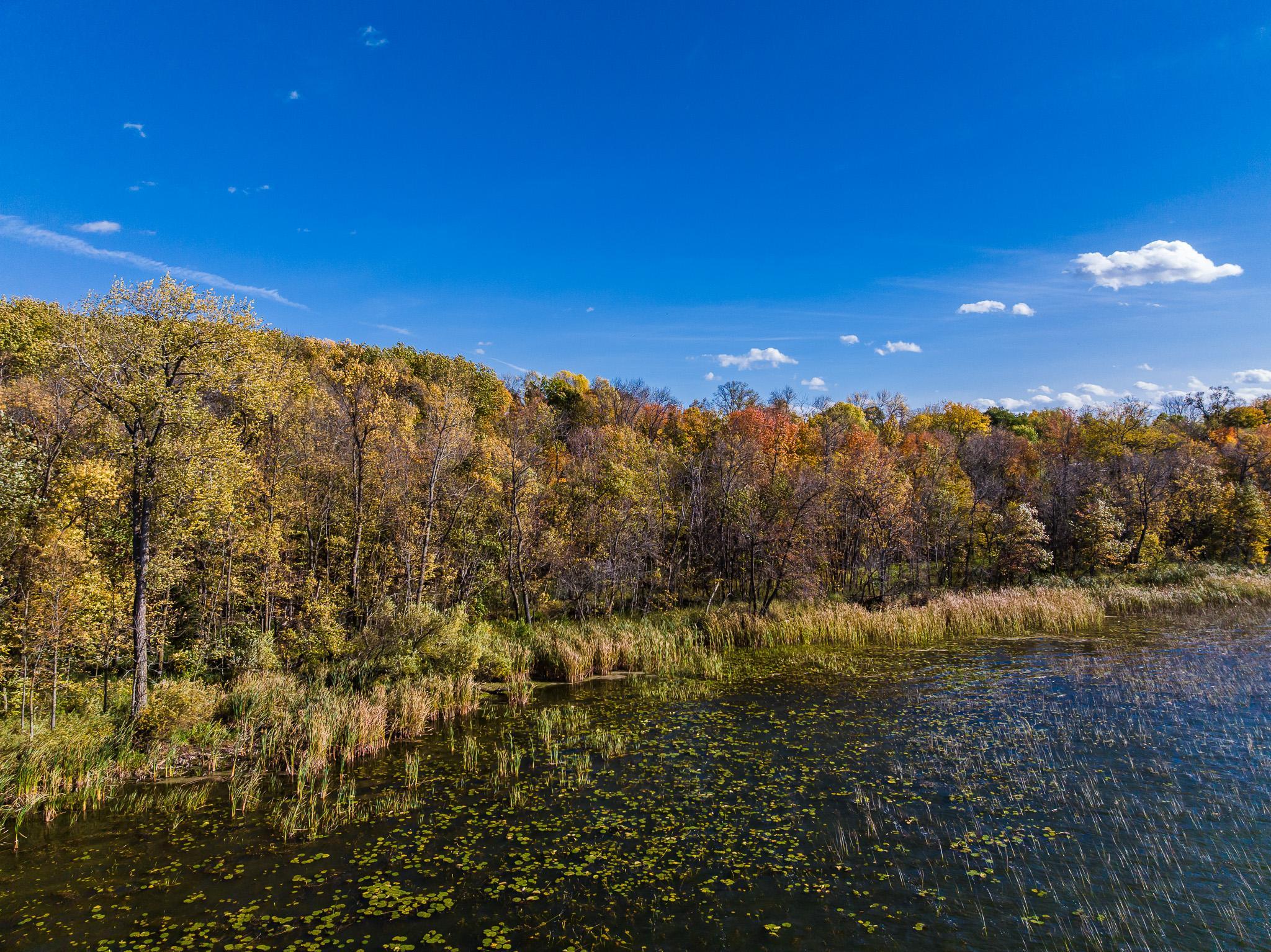 land for sale at TBD County Road 102 in Grey Eagle, MN (photo 10 of 31)