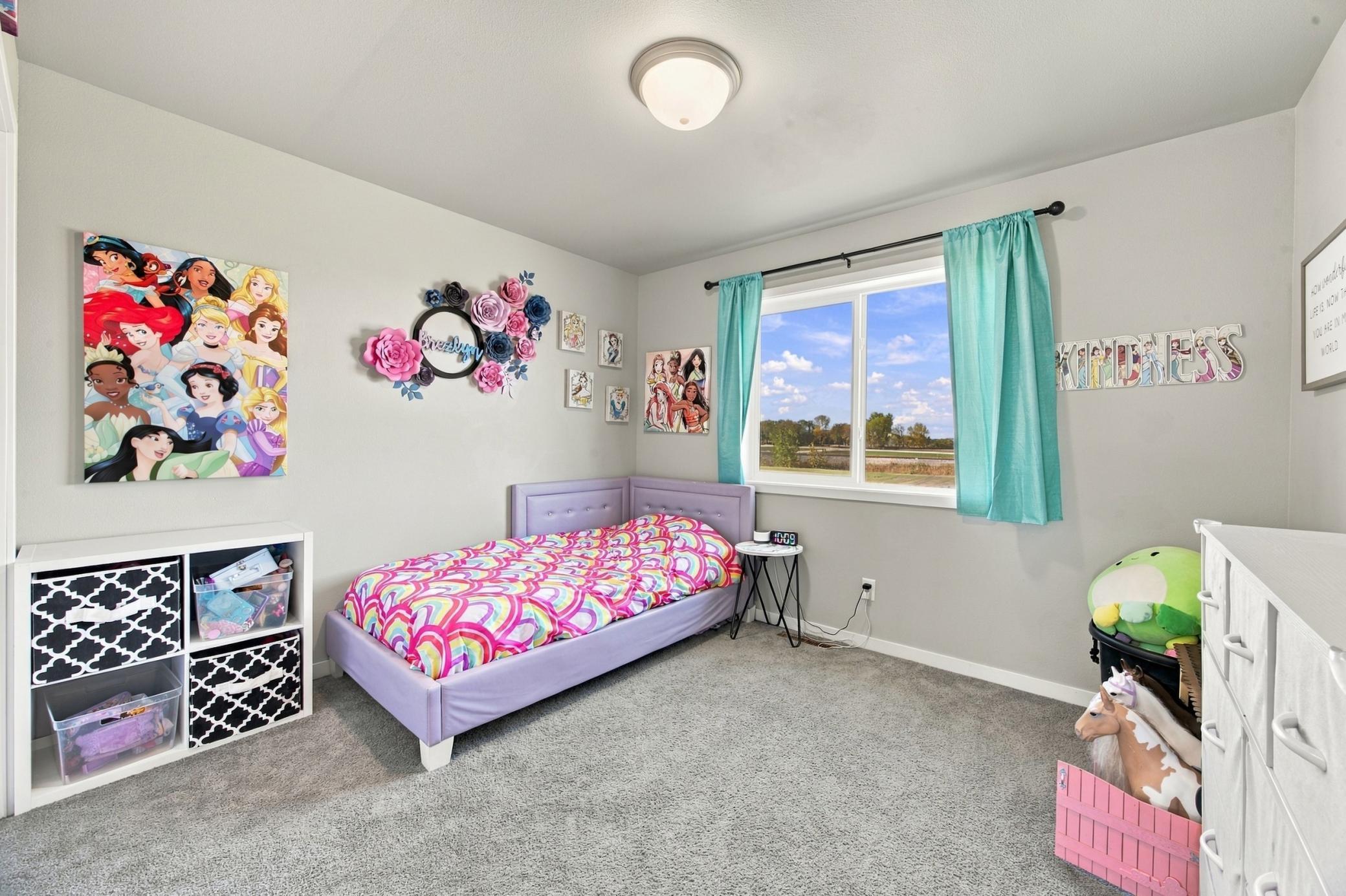 2020 single family home for sale at 803 Blaine Street N in Colfax, ND — 5 bed, 3 bath (photo 20 of 56)
