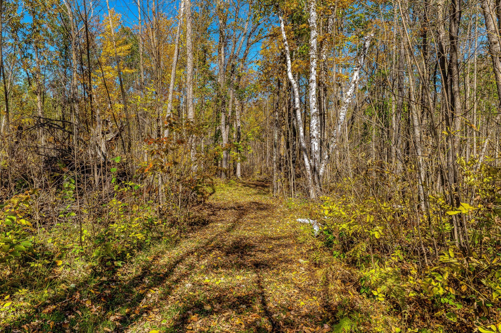 1987 single family home for sale at 9330 Country Club Road NE in Bemidji, MN — 4 bed, 2 bath (photo 67 of 92)