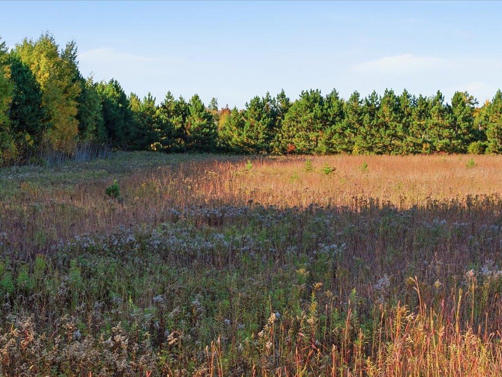 land for sale at LOT 8 Hawksbury Lane SW in Pequot Lakes, MN (photo 12 of 12)