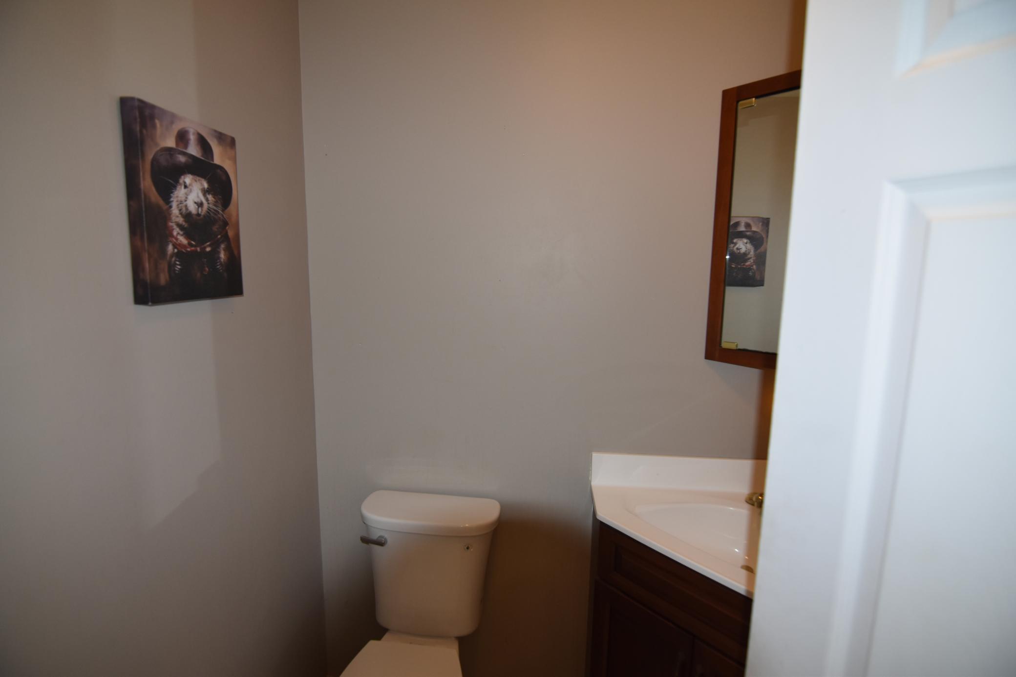 2002 single family home for sale at 204 River Drive NE in Baudette, MN — 3 bed, 4 bath (photo 31 of 51)
