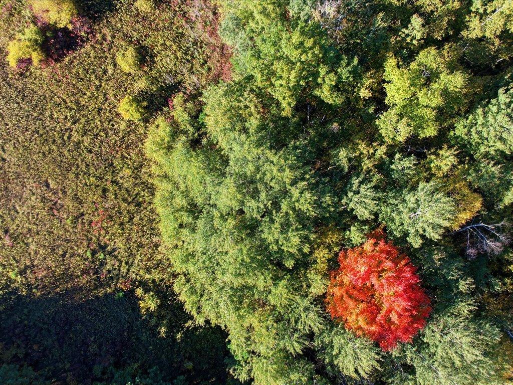 land for sale at LOT 11 Cainscross Way SW in Pequot Lakes, MN (photo 8 of 13)