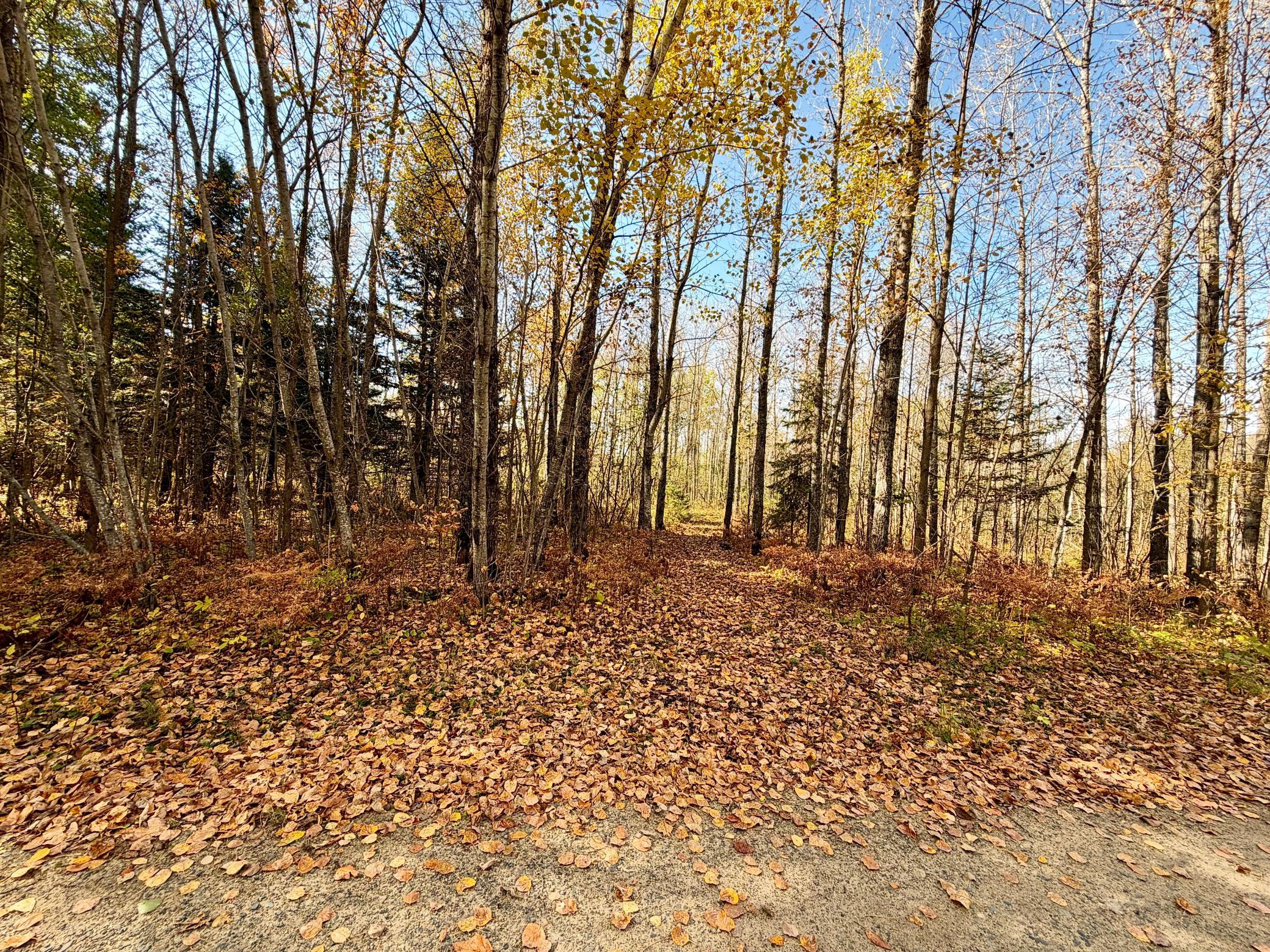 land for sale at TBD County Road 303 in Deer River, MN