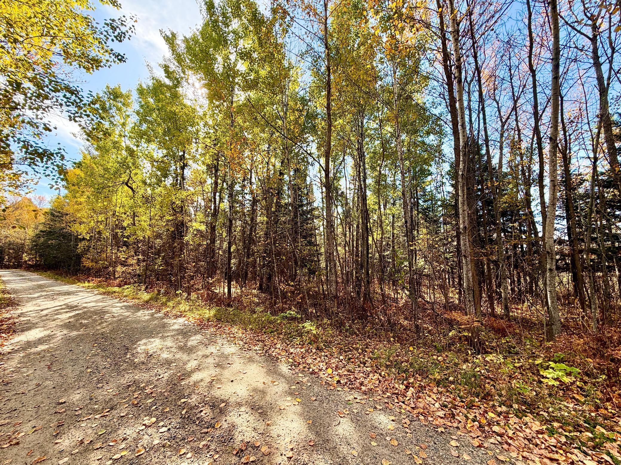 land for sale at TBD County Road 303 in Deer River, MN (photo 2 of 19)
