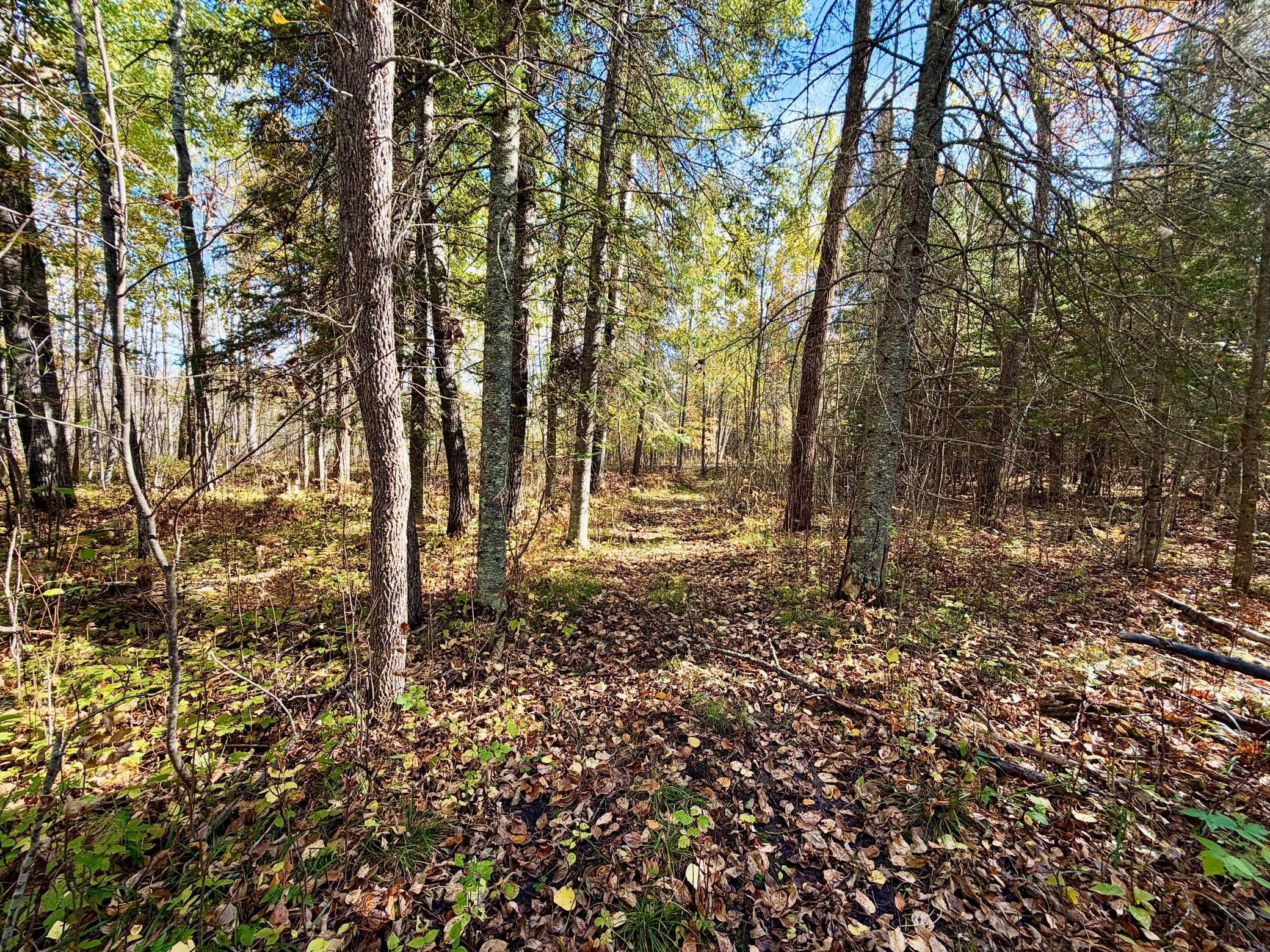 land for sale at TBD County Road 303 in Deer River, MN (photo 11 of 19)