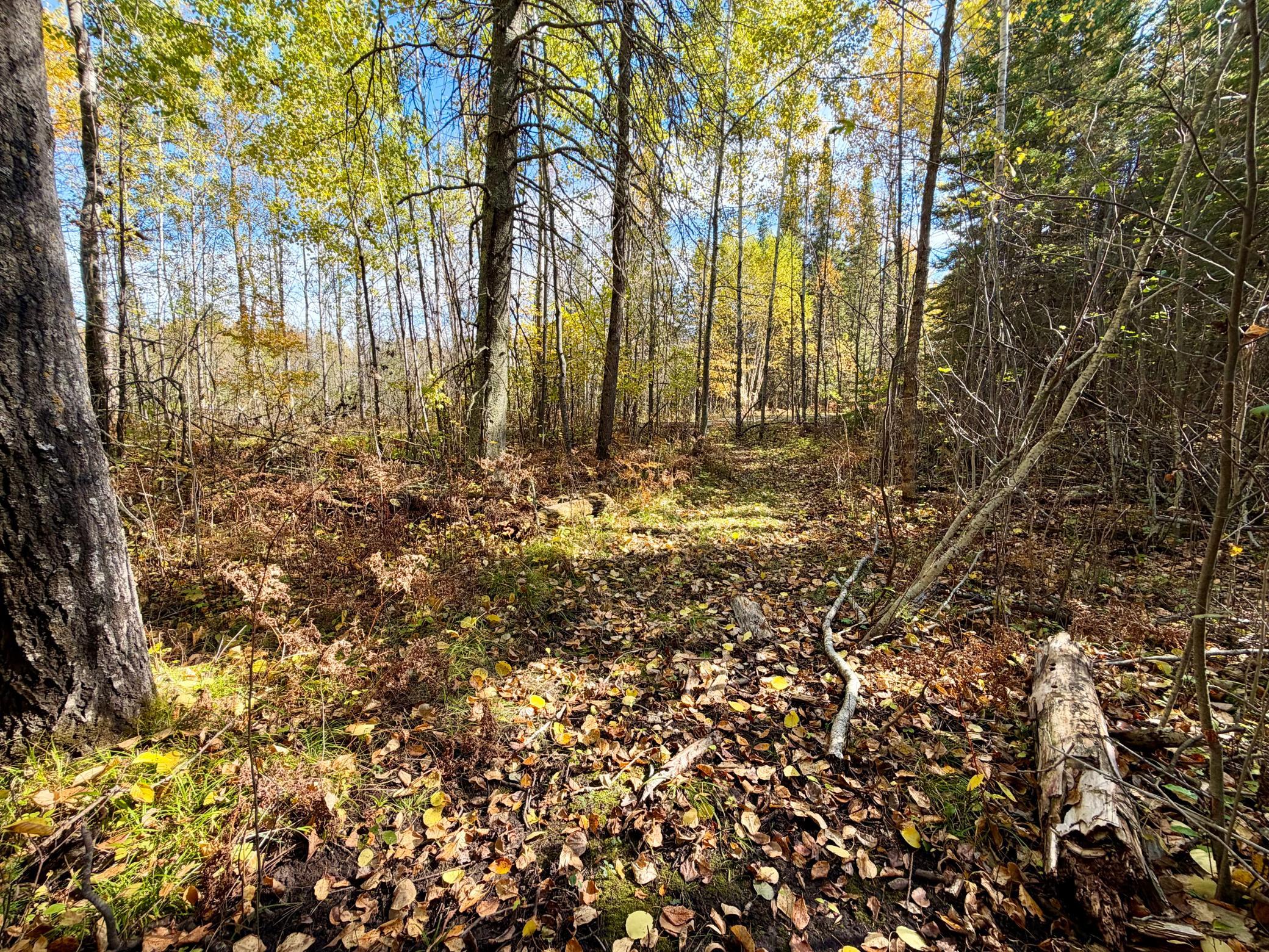 land for sale at TBD County Road 303 in Deer River, MN (photo 12 of 19)