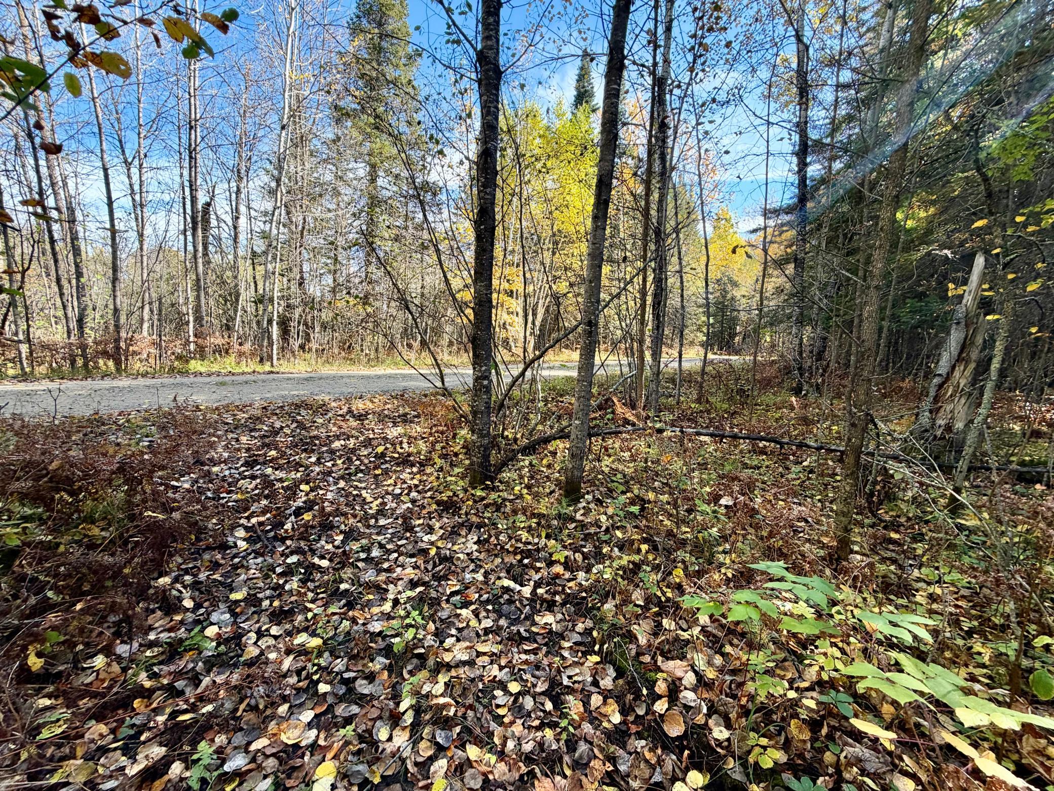 land for sale at TBD County Road 303 in Deer River, MN (photo 13 of 19)