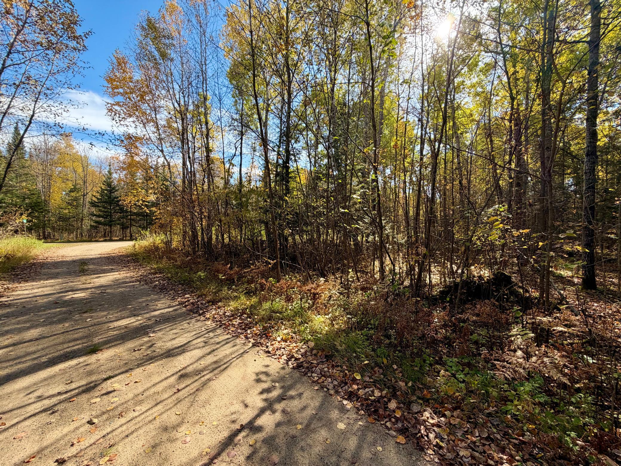 land for sale at TBD County Road 303 in Deer River, MN (photo 14 of 19)