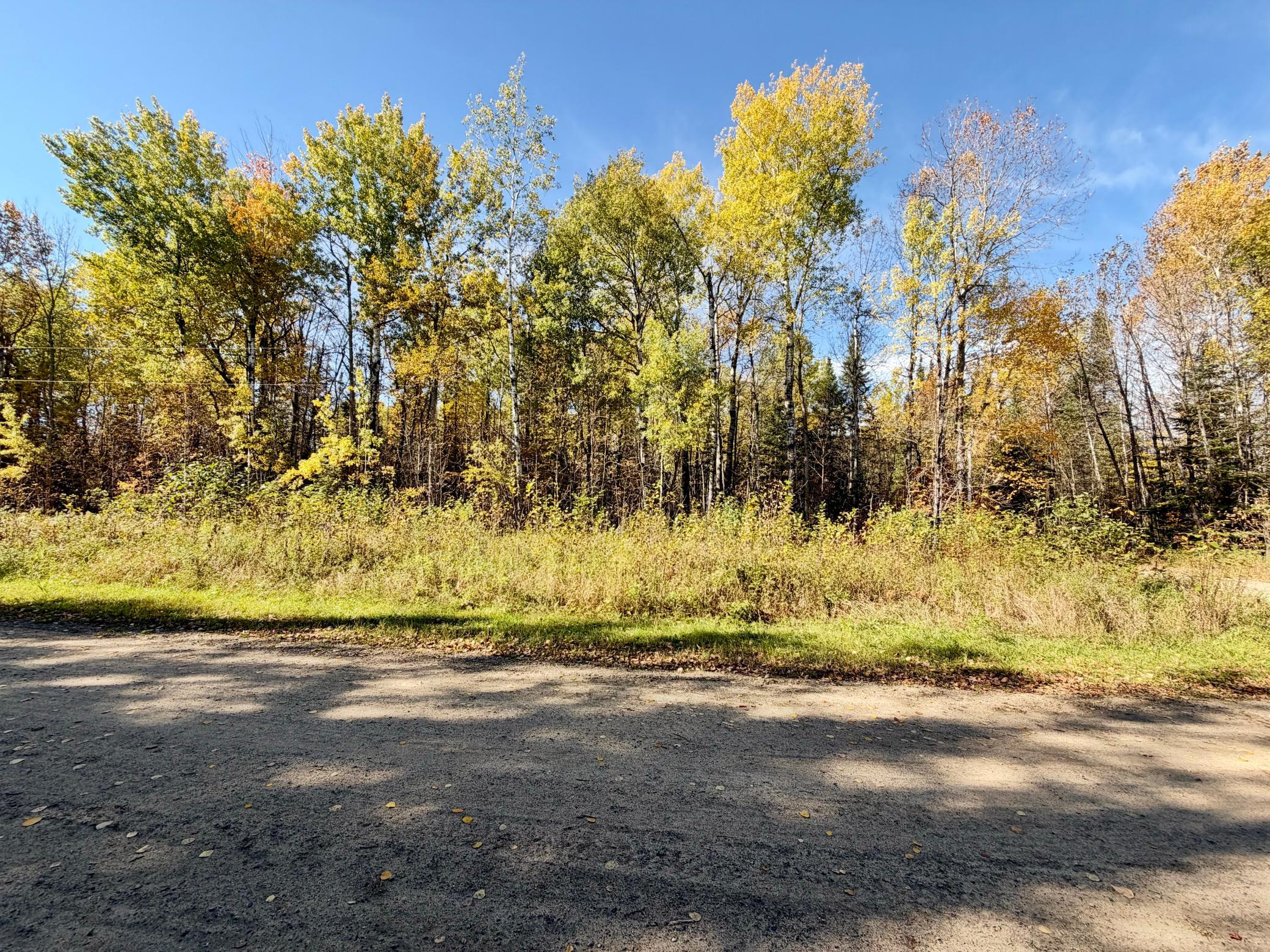land for sale at TBD County Road 303 in Deer River, MN (photo 16 of 19)