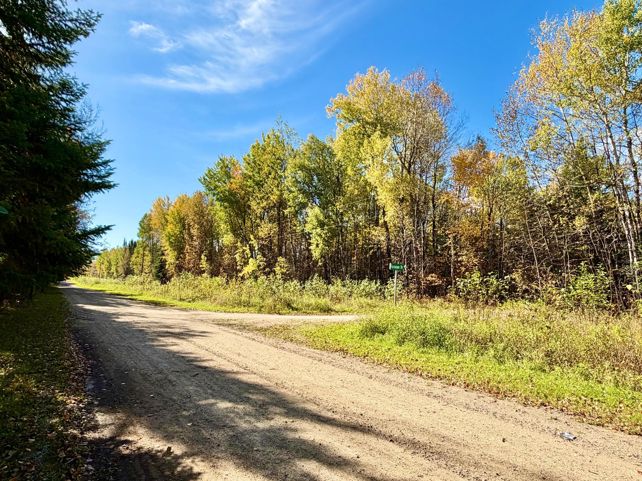 land for sale at TBD County Road 303 in Deer River, MN (photo 18 of 19)