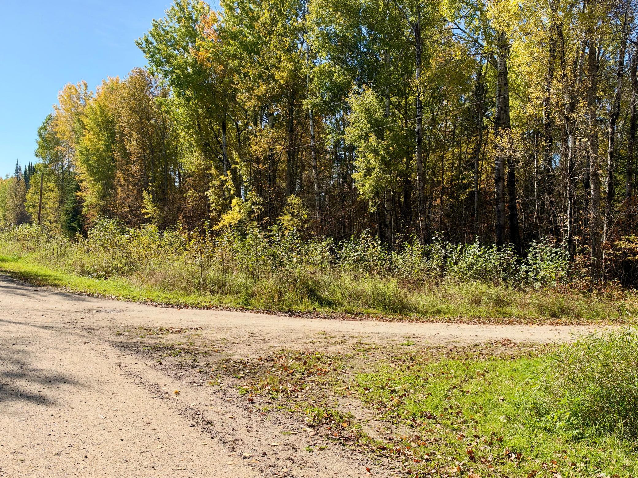 land for sale at TBD County Road 303 in Deer River, MN (photo 19 of 19)