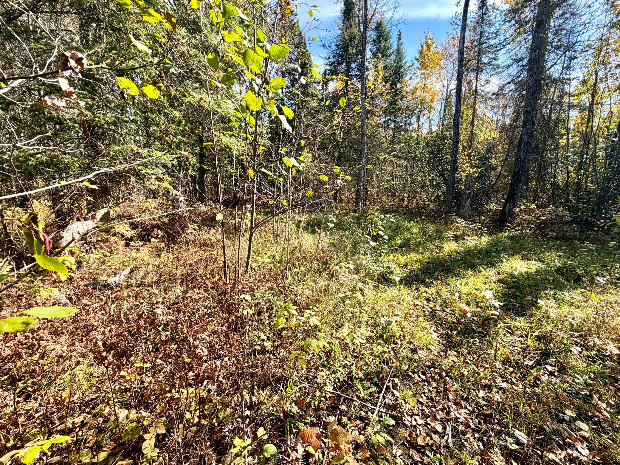 land for sale at TBD County Road 303 in Deer River, MN (photo 3 of 19)