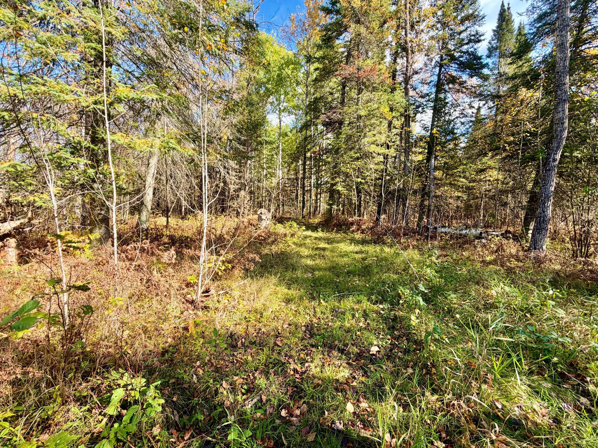 land for sale at TBD County Road 303 in Deer River, MN (photo 4 of 19)
