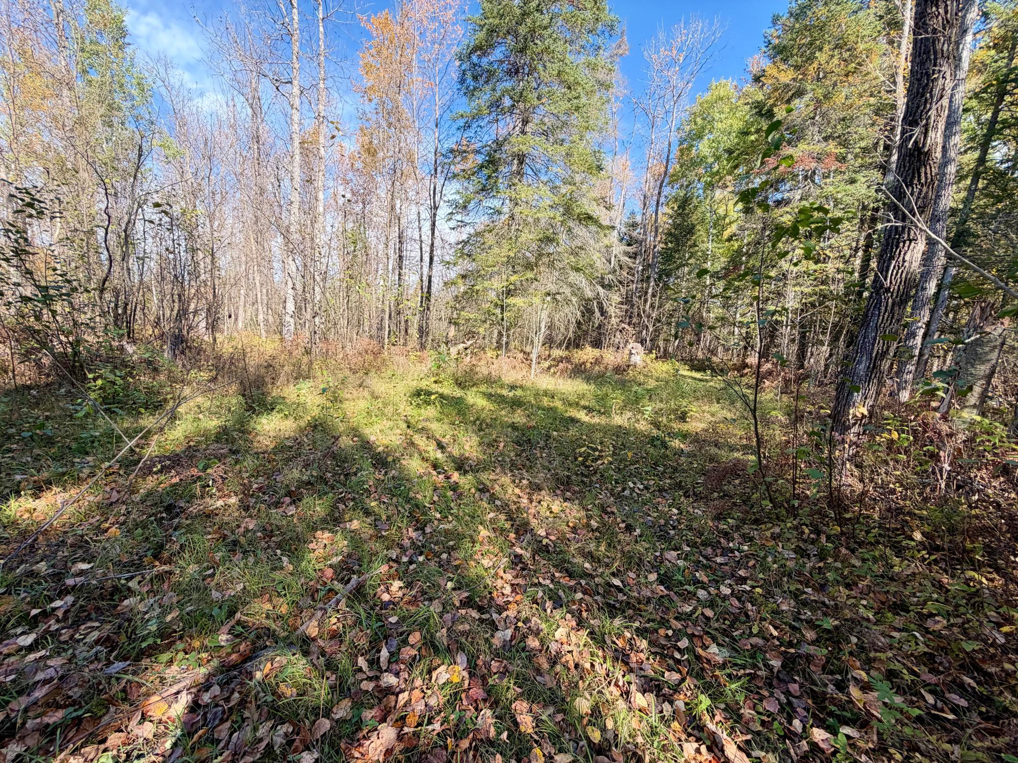 land for sale at TBD County Road 303 in Deer River, MN (photo 10 of 19)