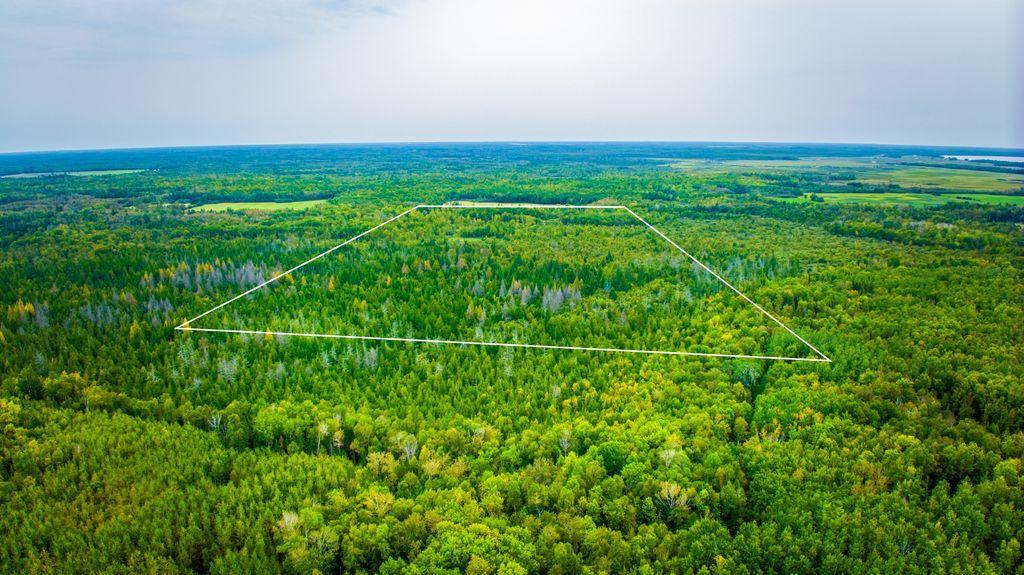 land for sale at 12479 Battle Road NE in Blackduck, MN