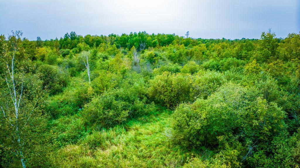 land for sale at 12479 Battle Road NE in Blackduck, MN (photo 14 of 23)