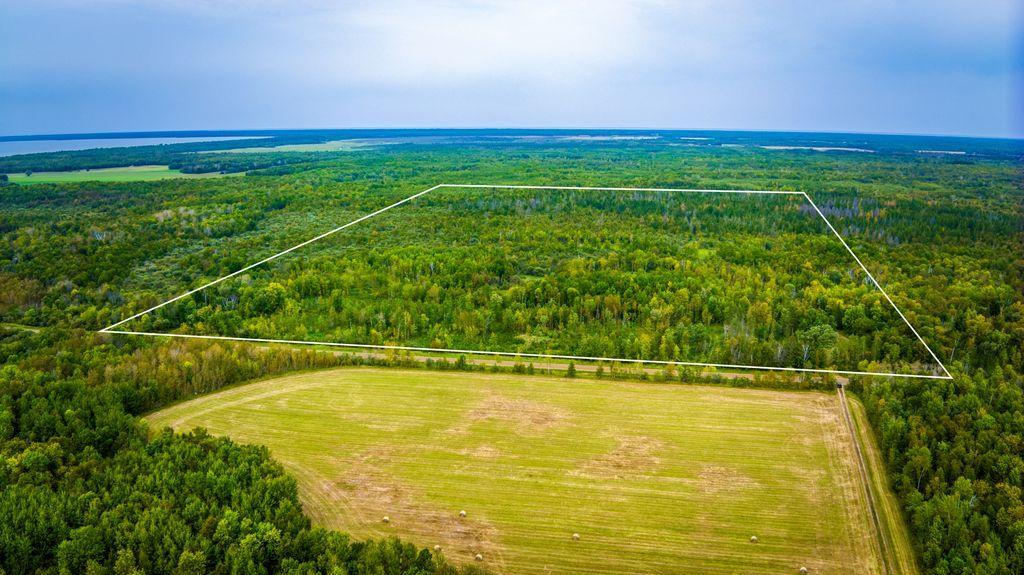 land for sale at 12479 Battle Road NE in Blackduck, MN (photo 16 of 23)